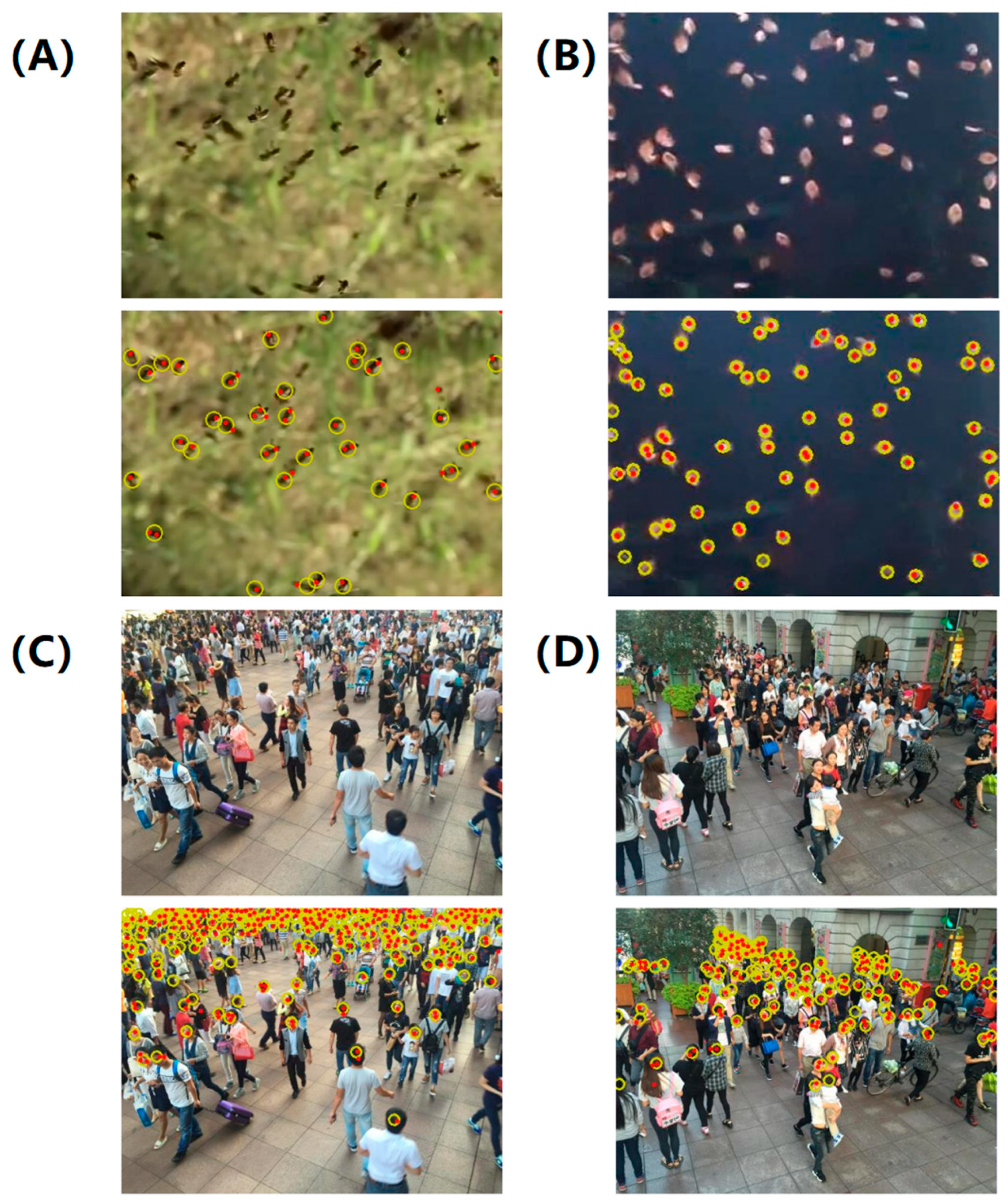 Micromachines 16 01379 g005