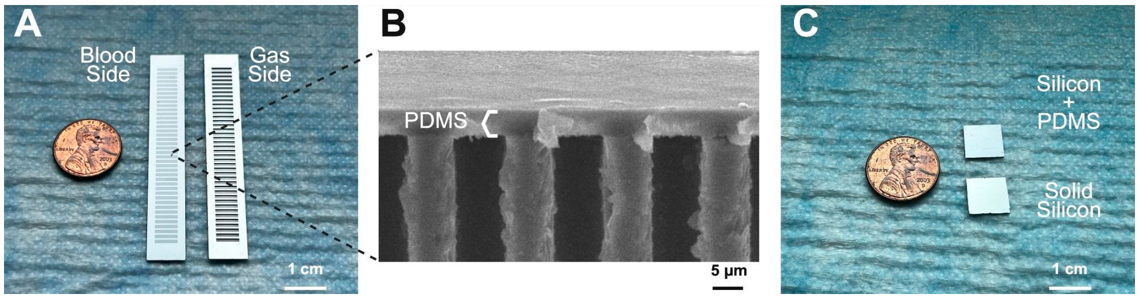 Micromachines 16 01383 g001