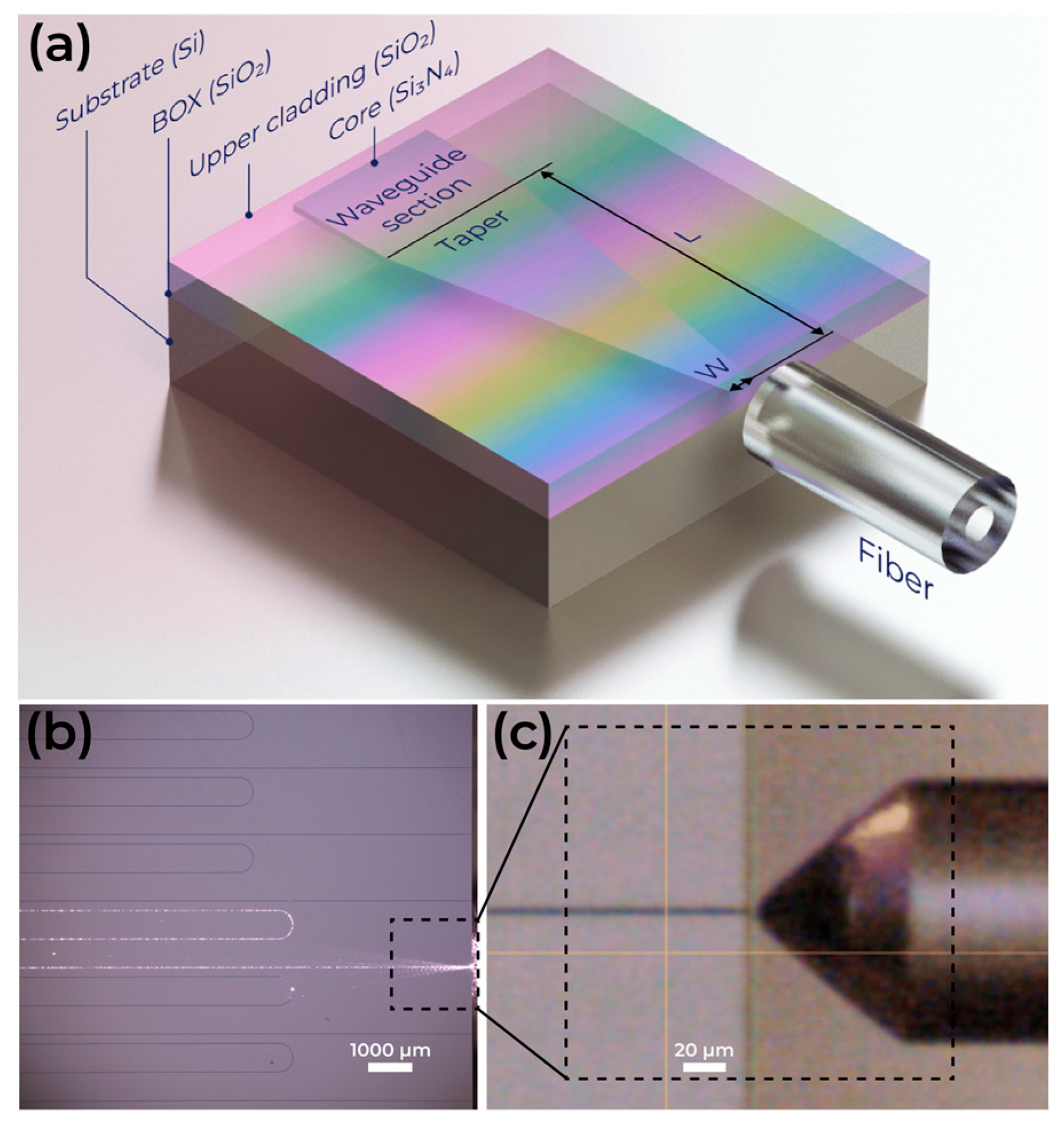 Micromachines 16 01401 g001 Micromachines 16 01401 g001