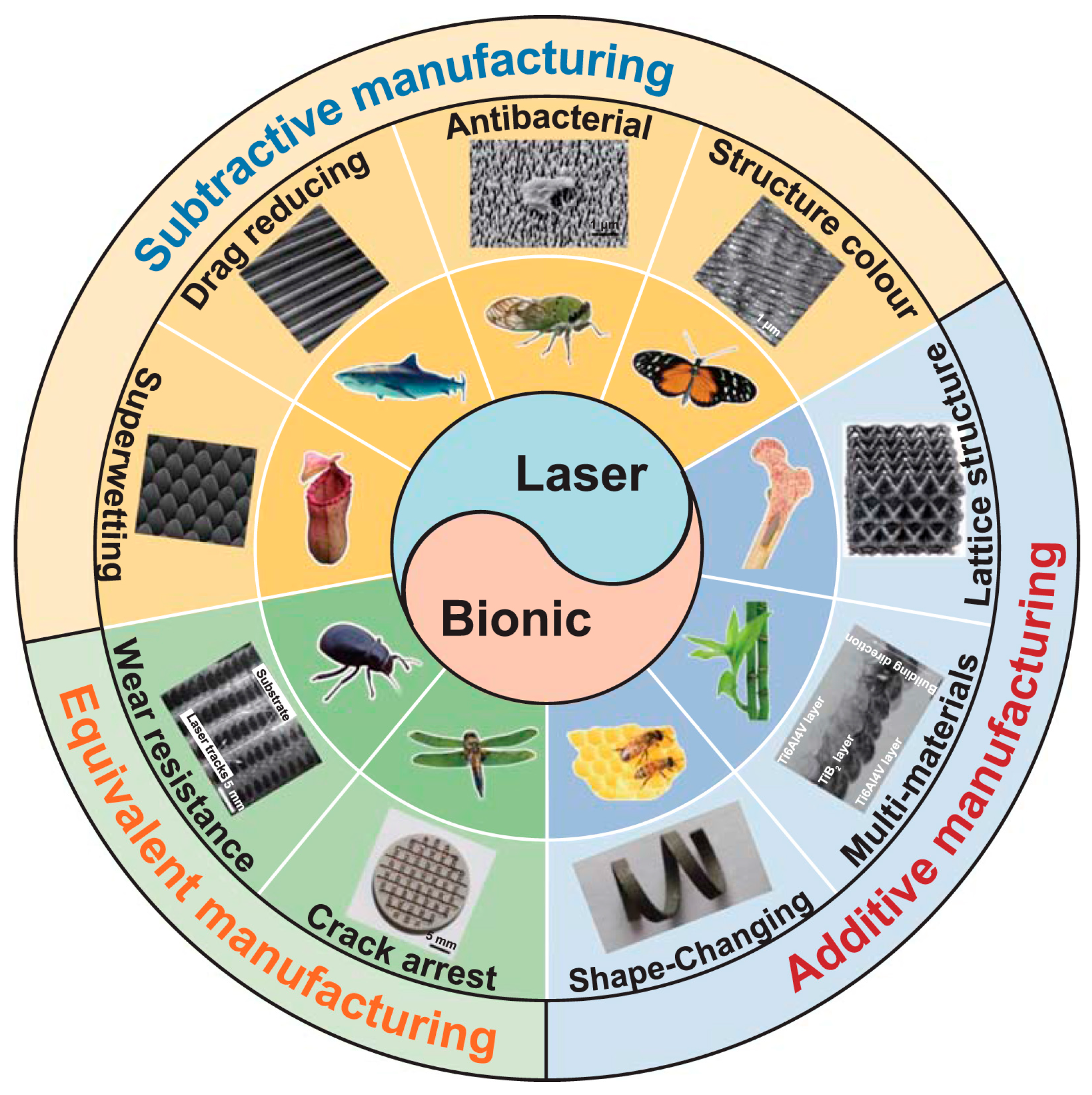 Micromachines 16 01418 g003