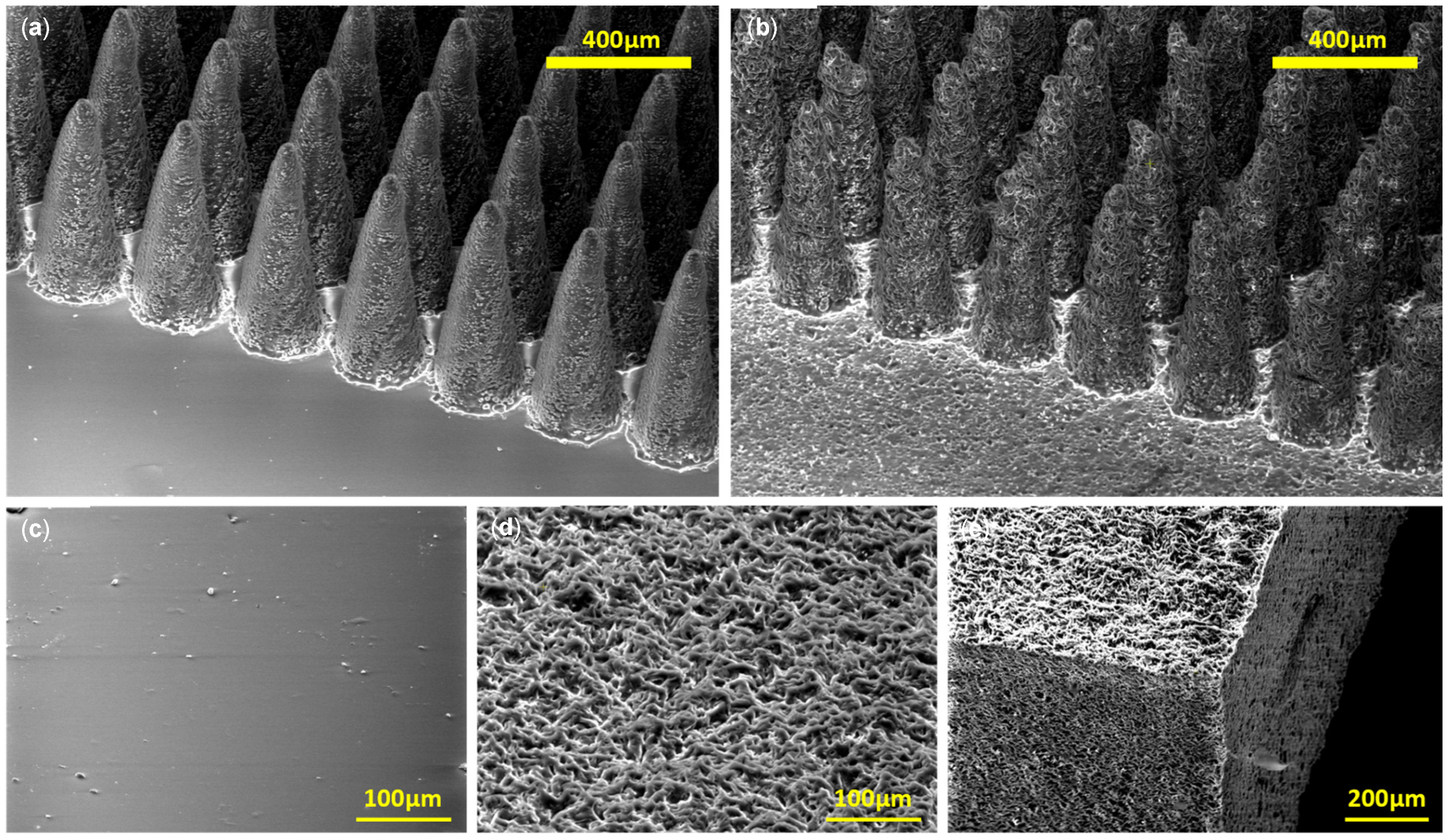 Micromachines 16 01419 g002
