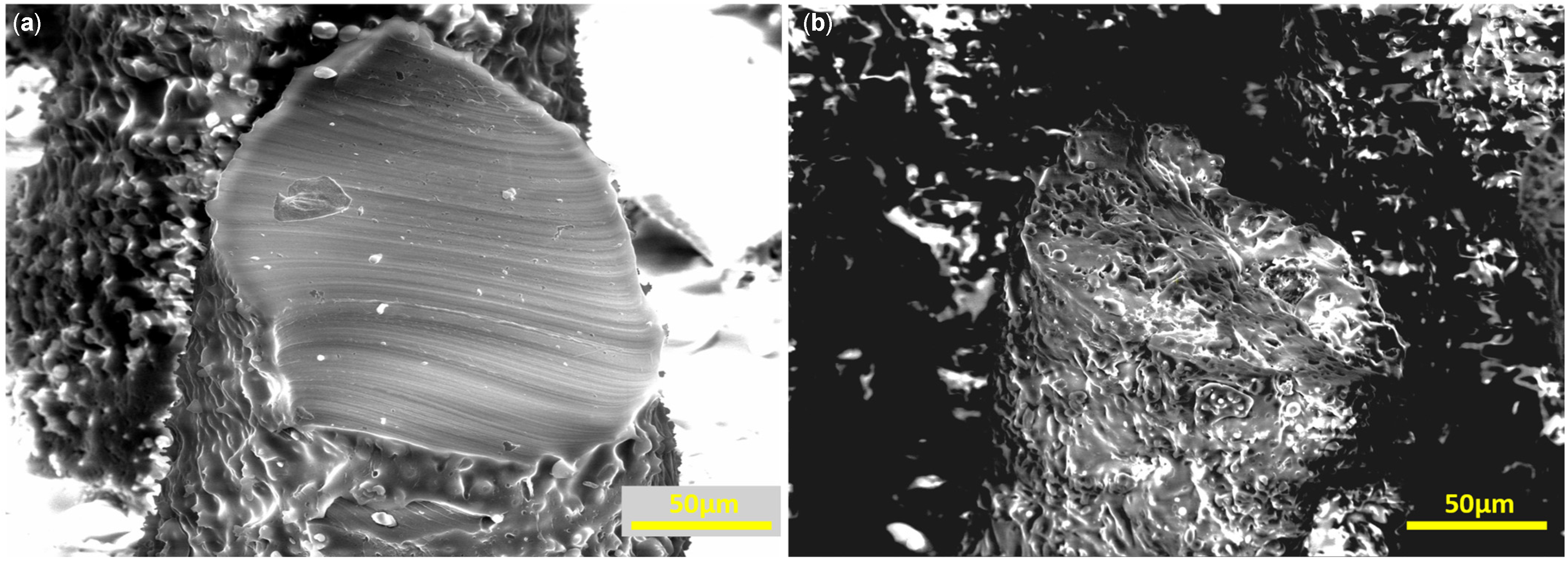 Micromachines 16 01419 g003