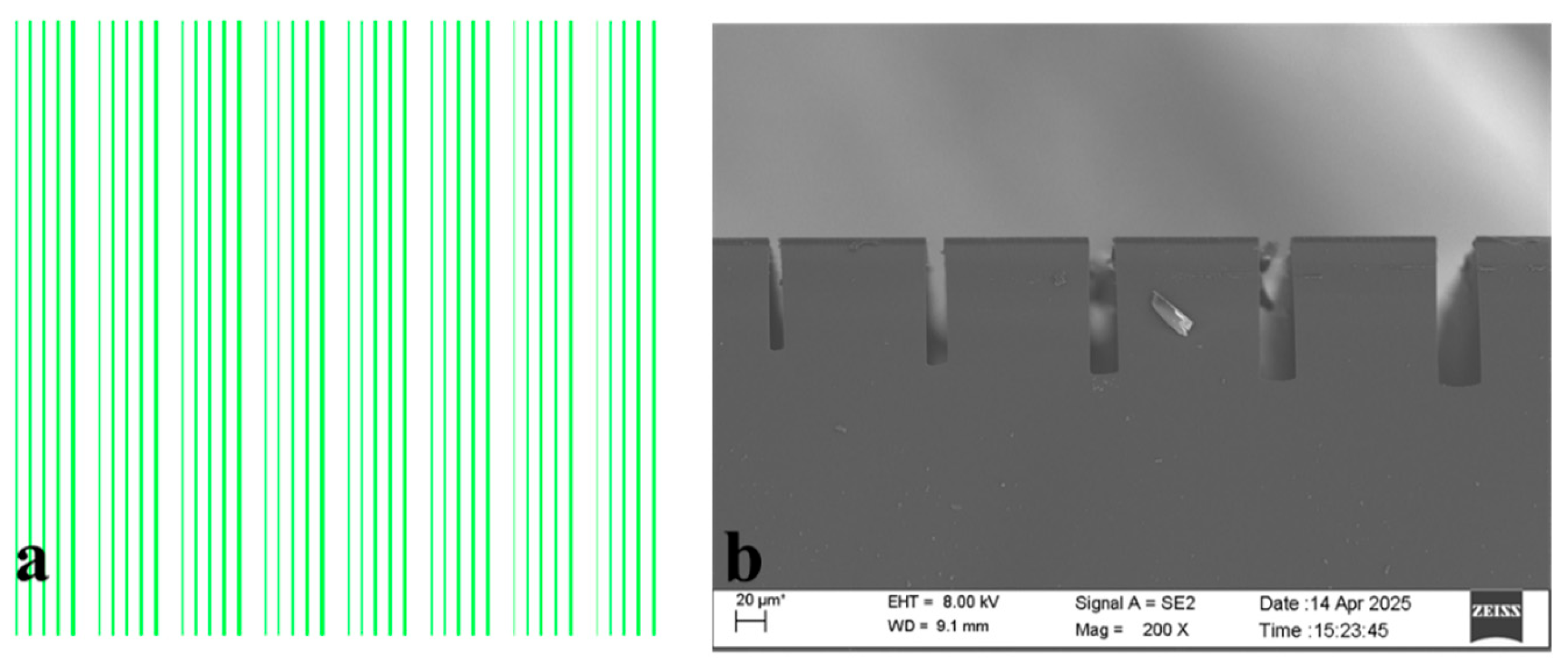 Micromachines 17 00013 g001