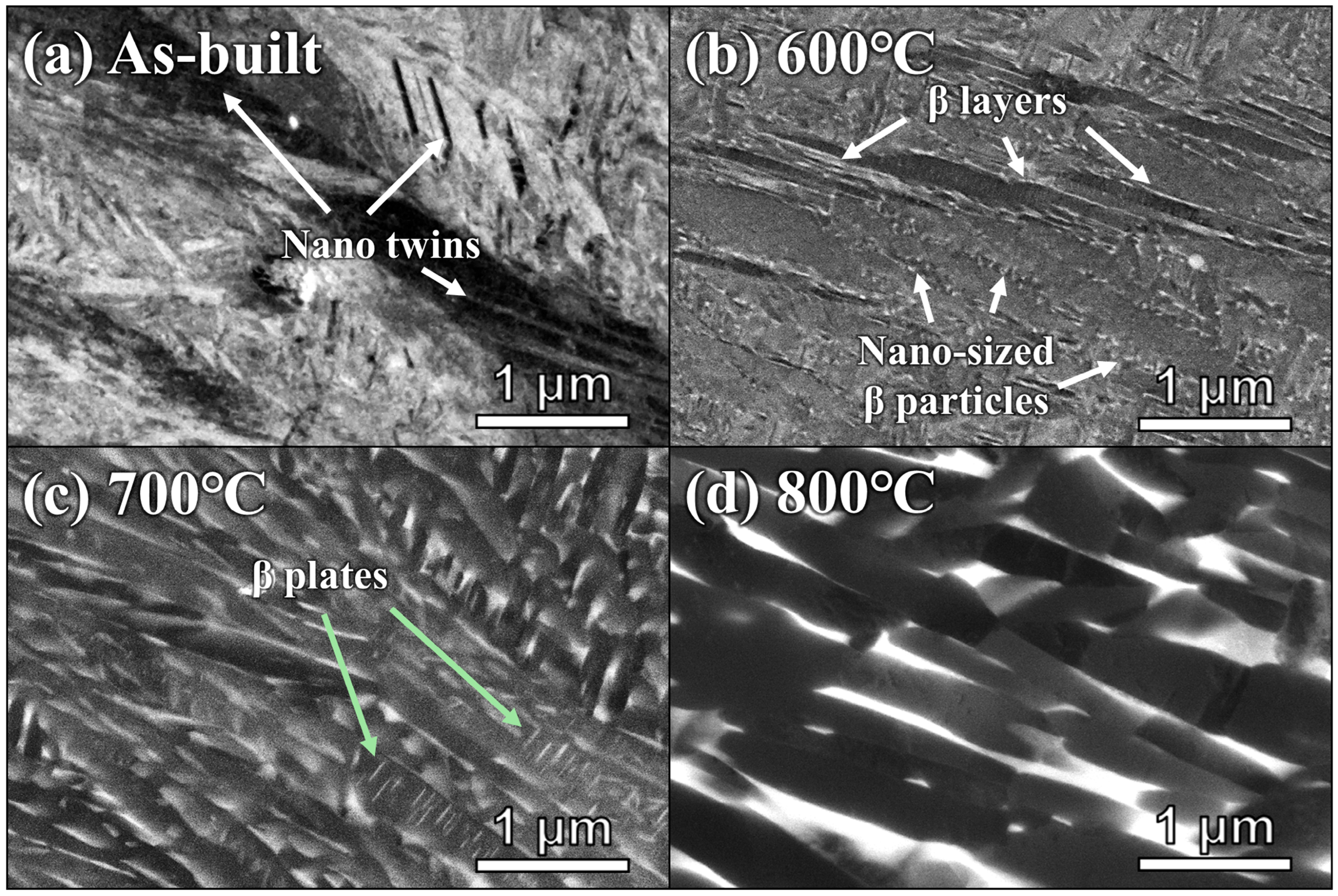 Micromachines 17 00016 g005 Micromachines 17 00016 g005