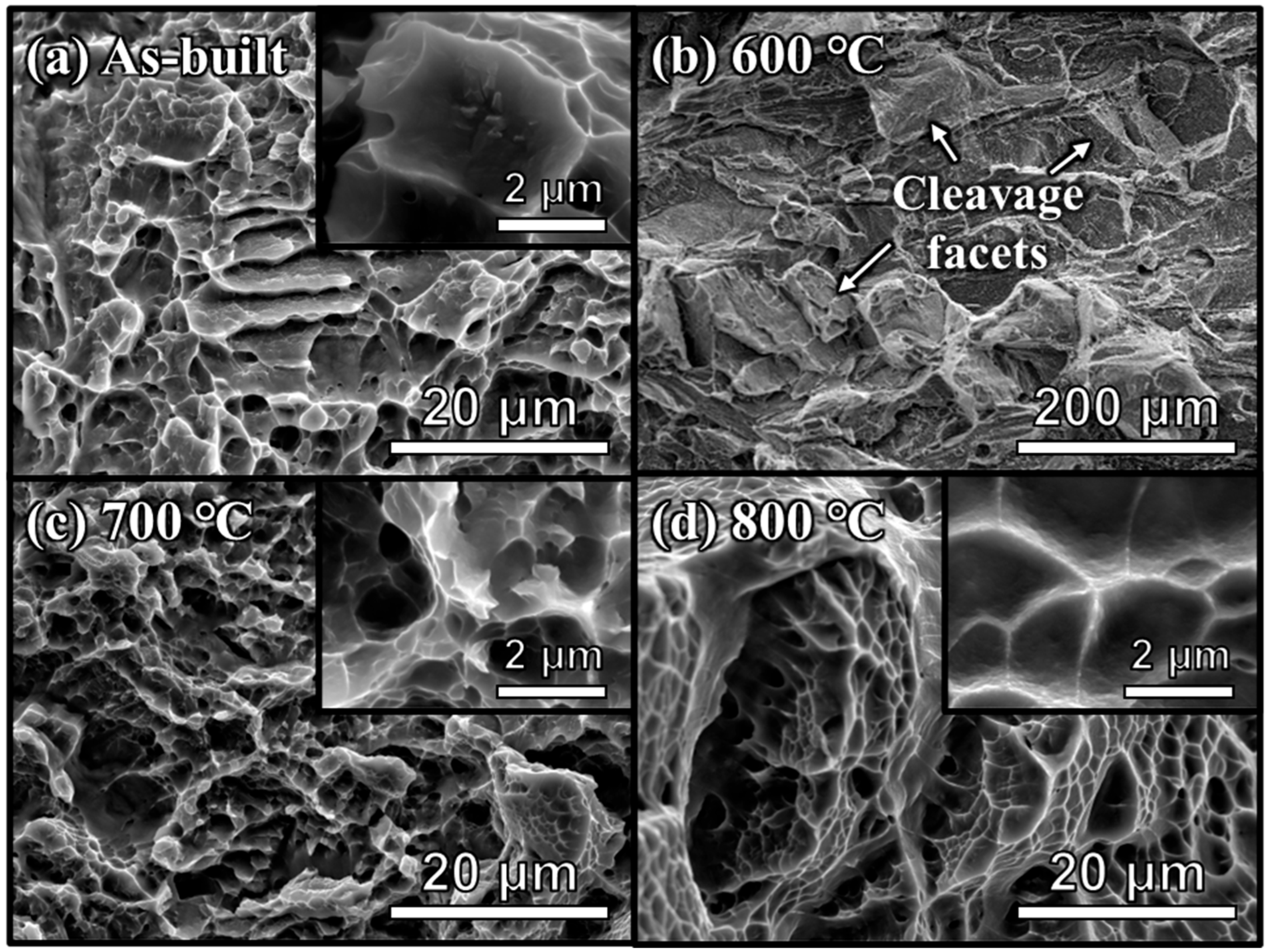 Micromachines 17 00016 g007 Micromachines 17 00016 g007