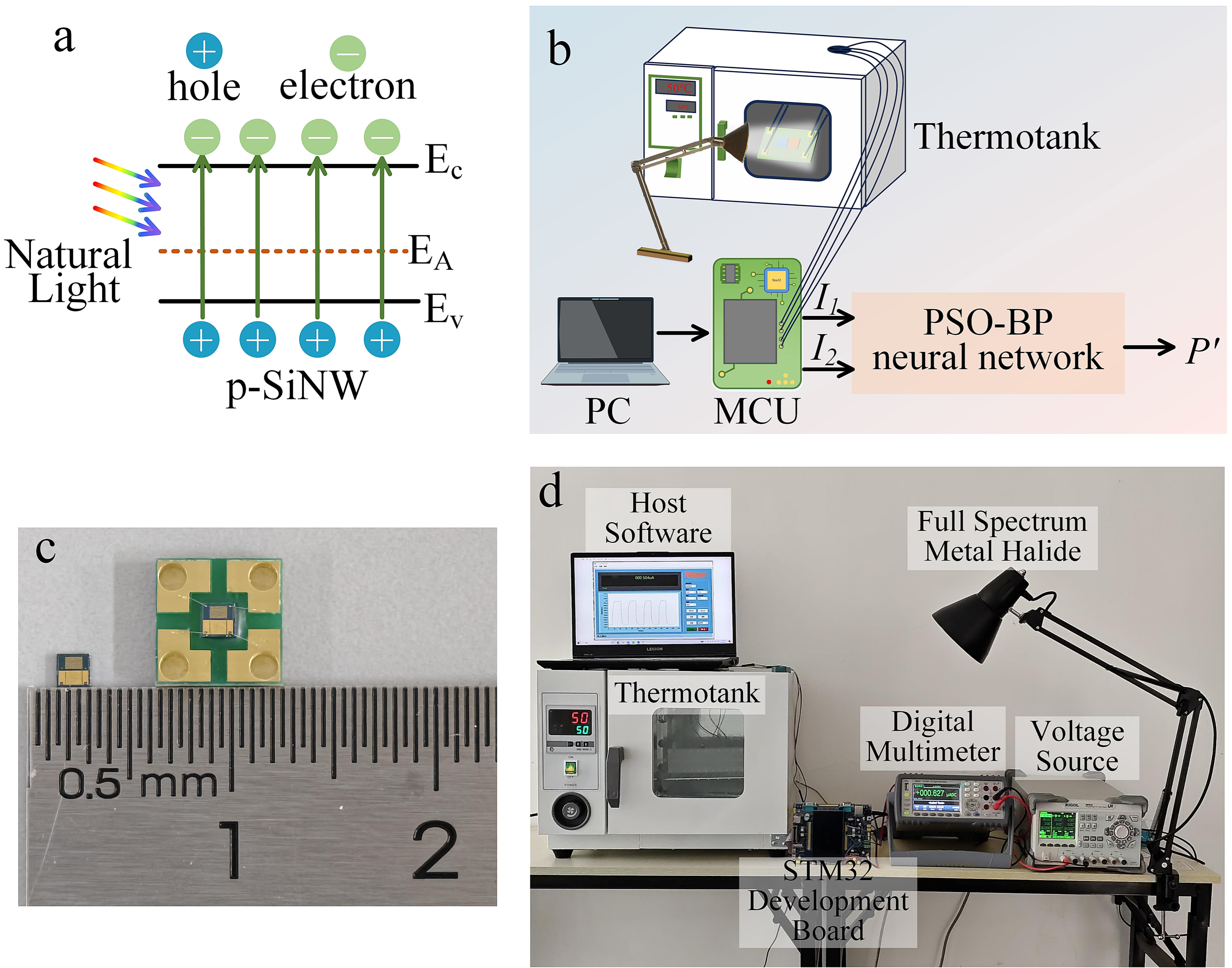 Micromachines 17 00023 g004