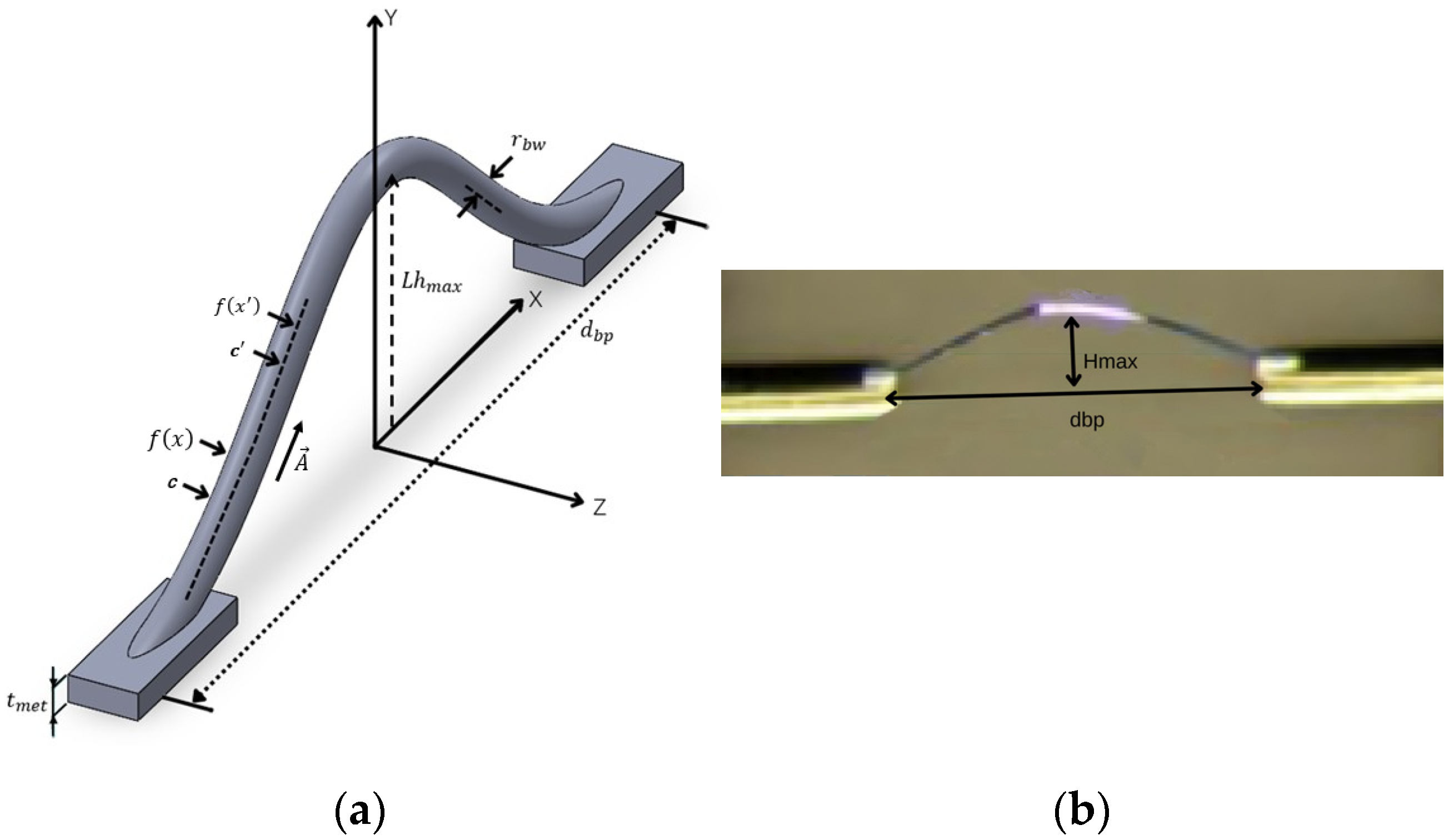 Micromachines 17 00026 g001