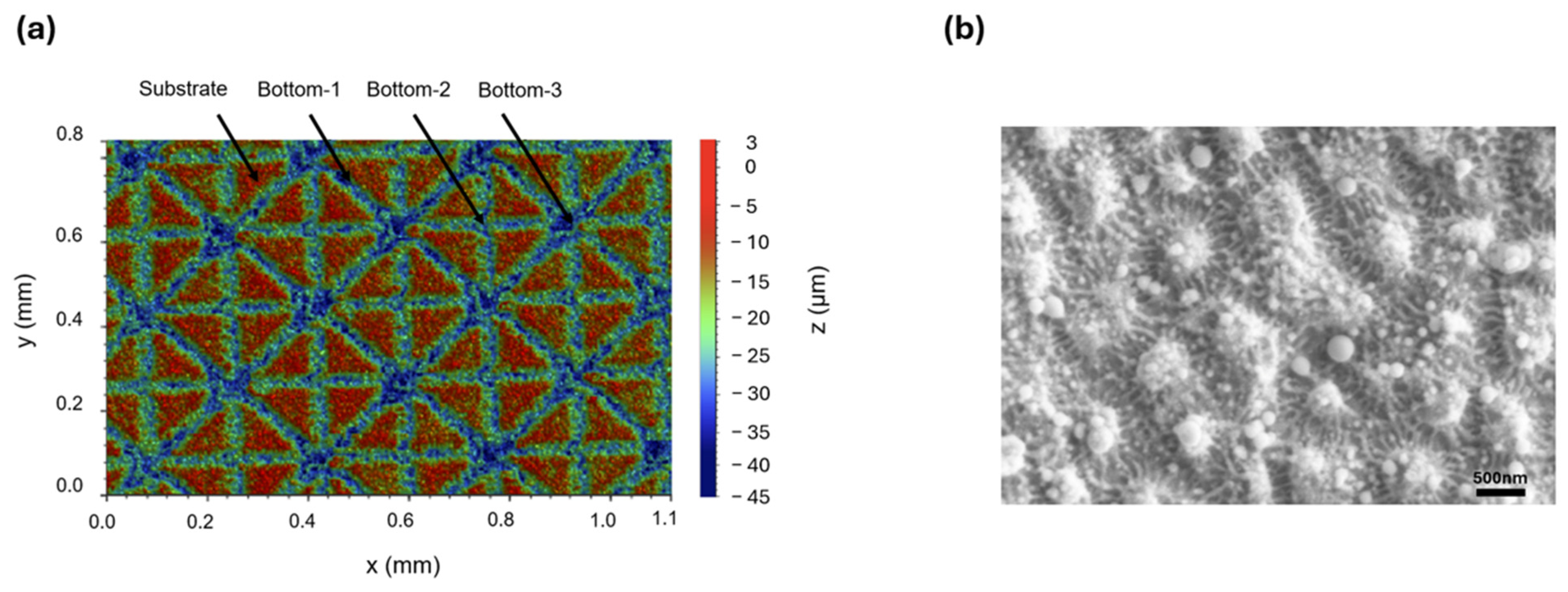 Micromachines 17 00029 g002