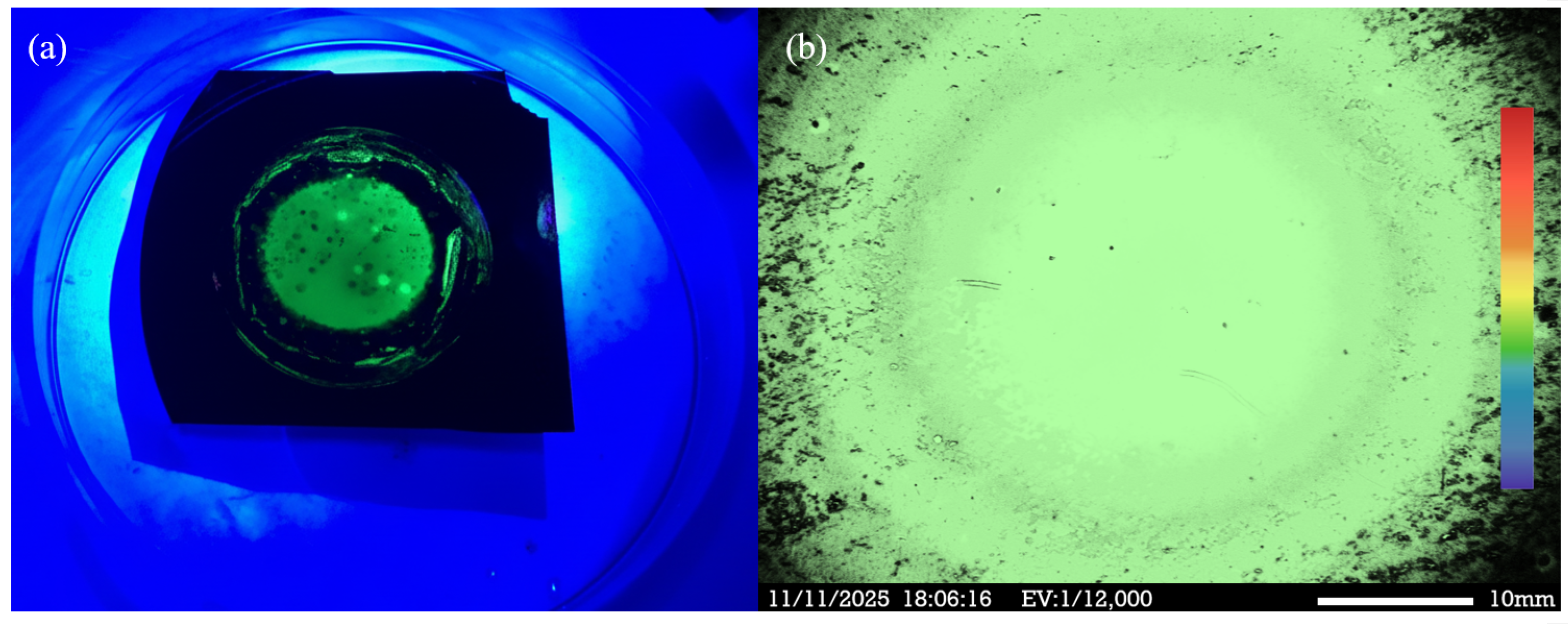 Micromachines 17 00073 g008