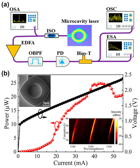 Recent Progress in Gain Materials for Microlasers and Modern