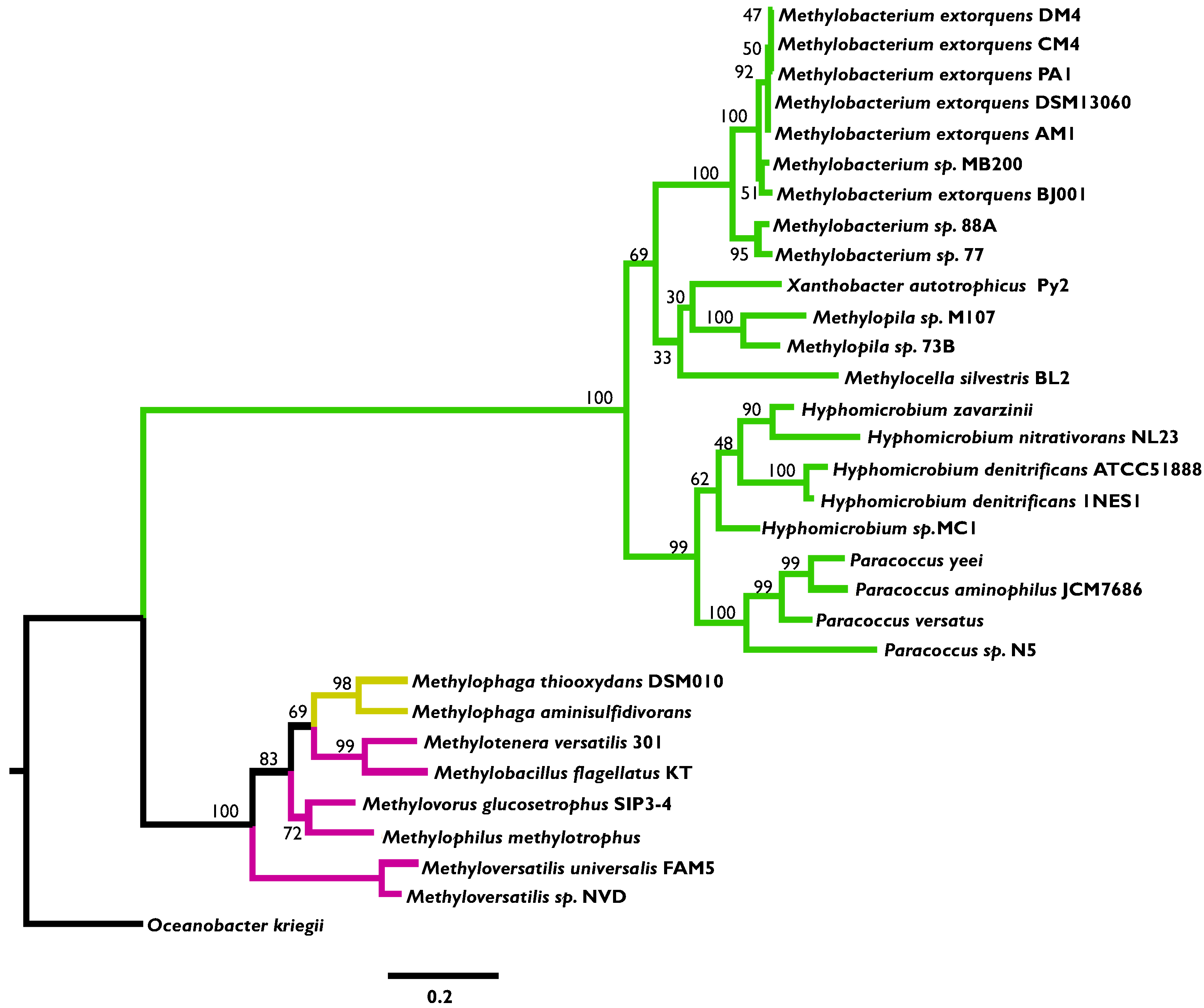 Microorganisms 03 00060 g003