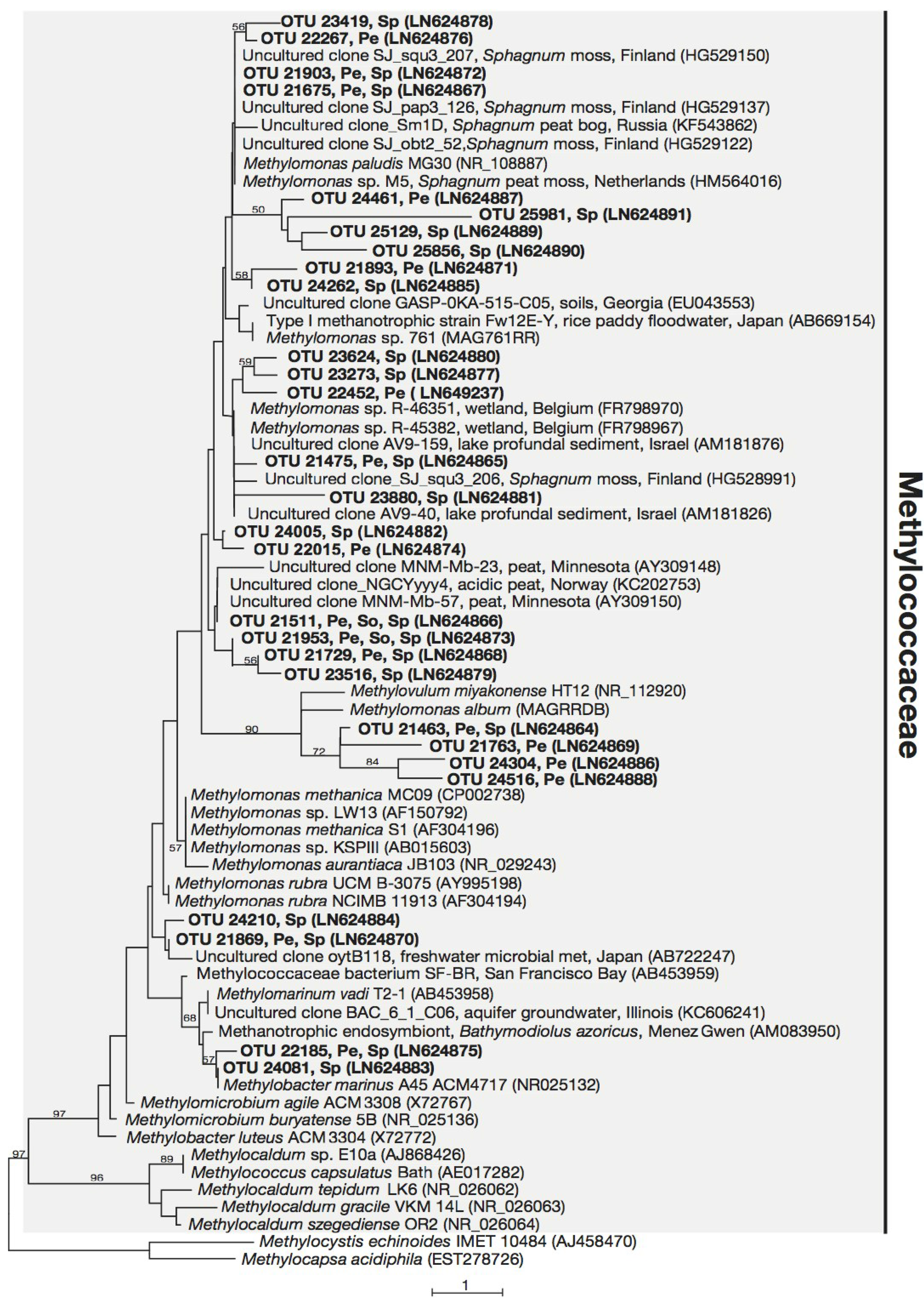 Microorganisms 03 00113 g001