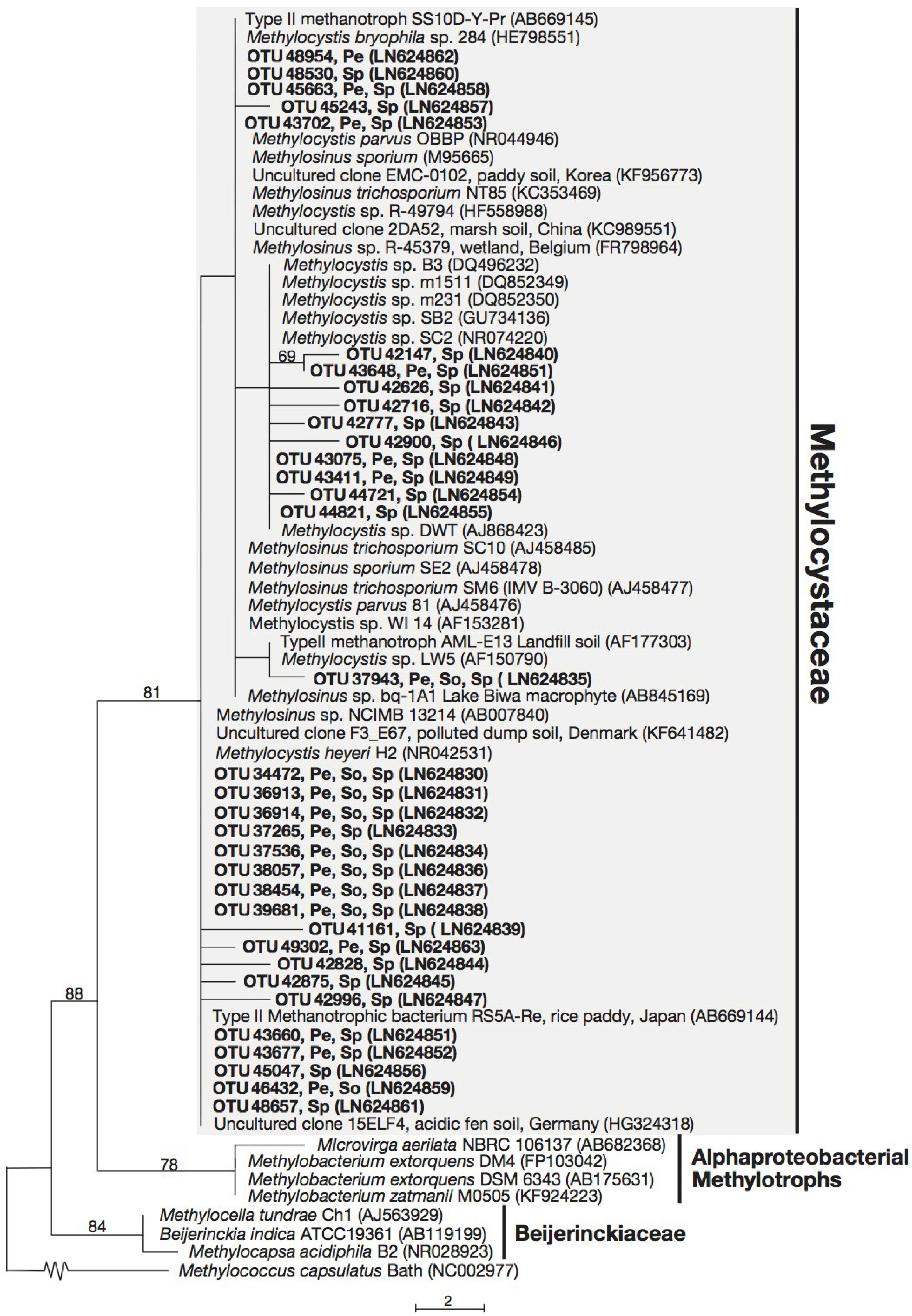 Microorganisms 03 00113 g002