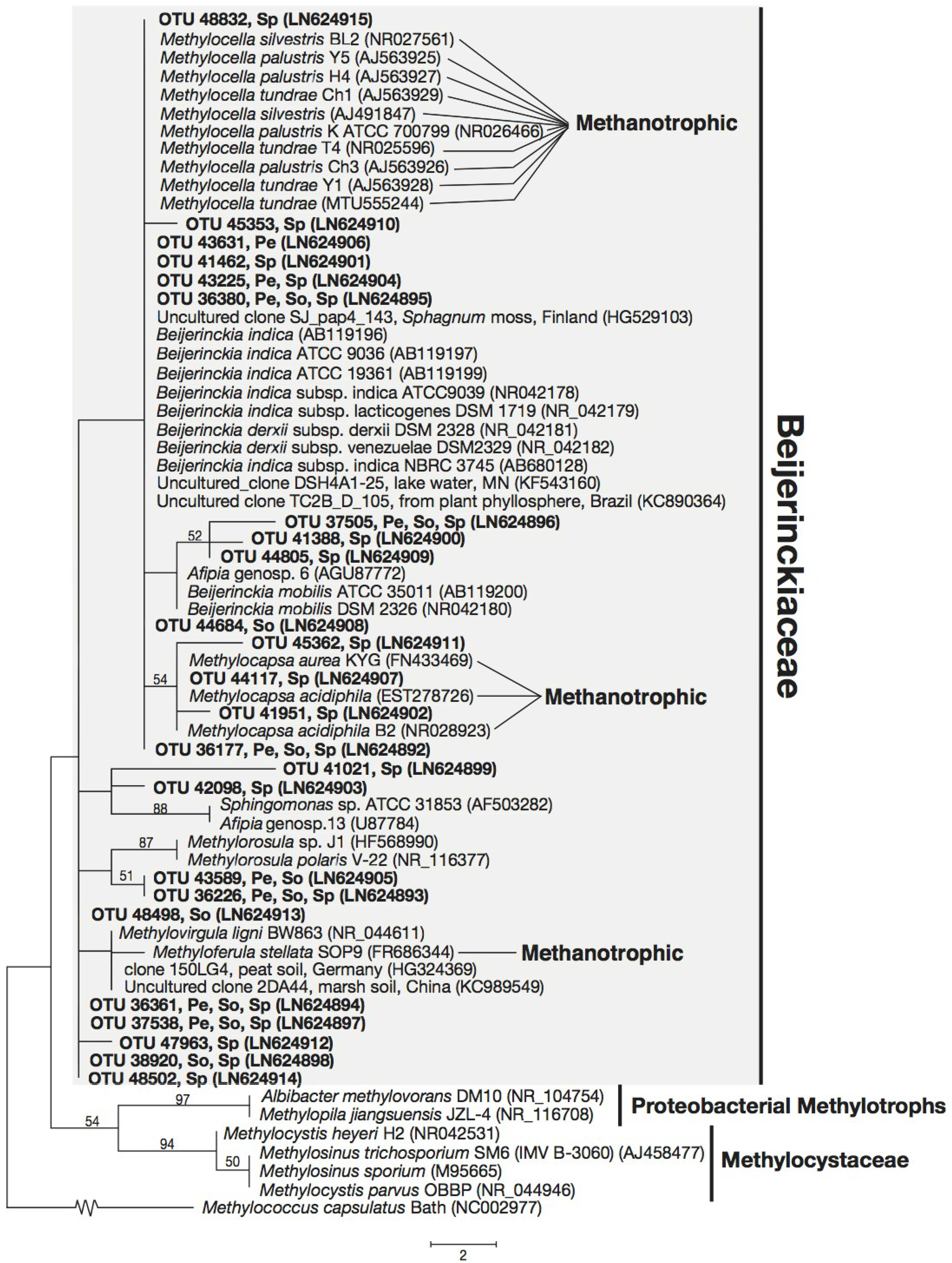 Microorganisms 03 00113 g003
