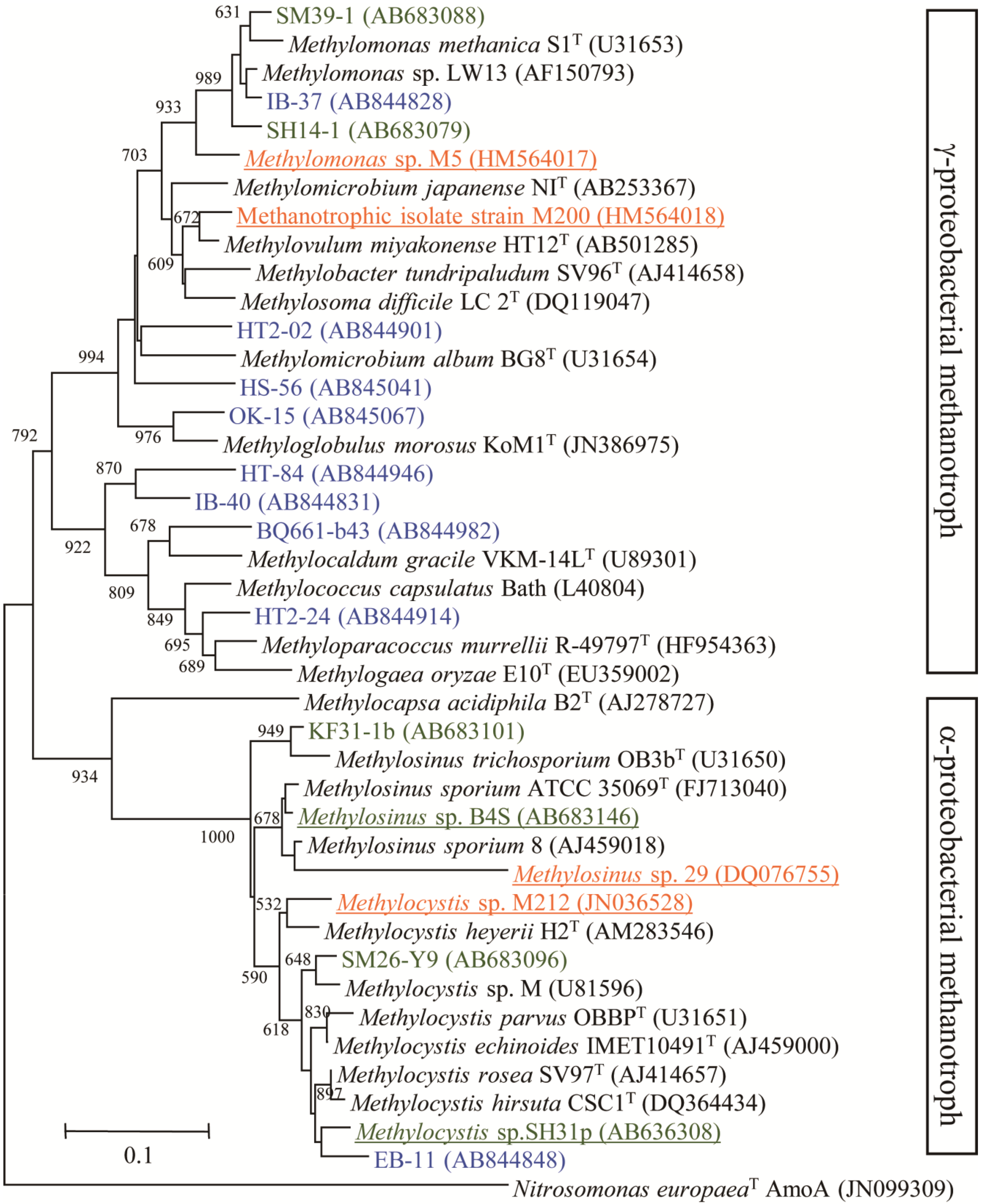 Microorganisms 03 00137 g001