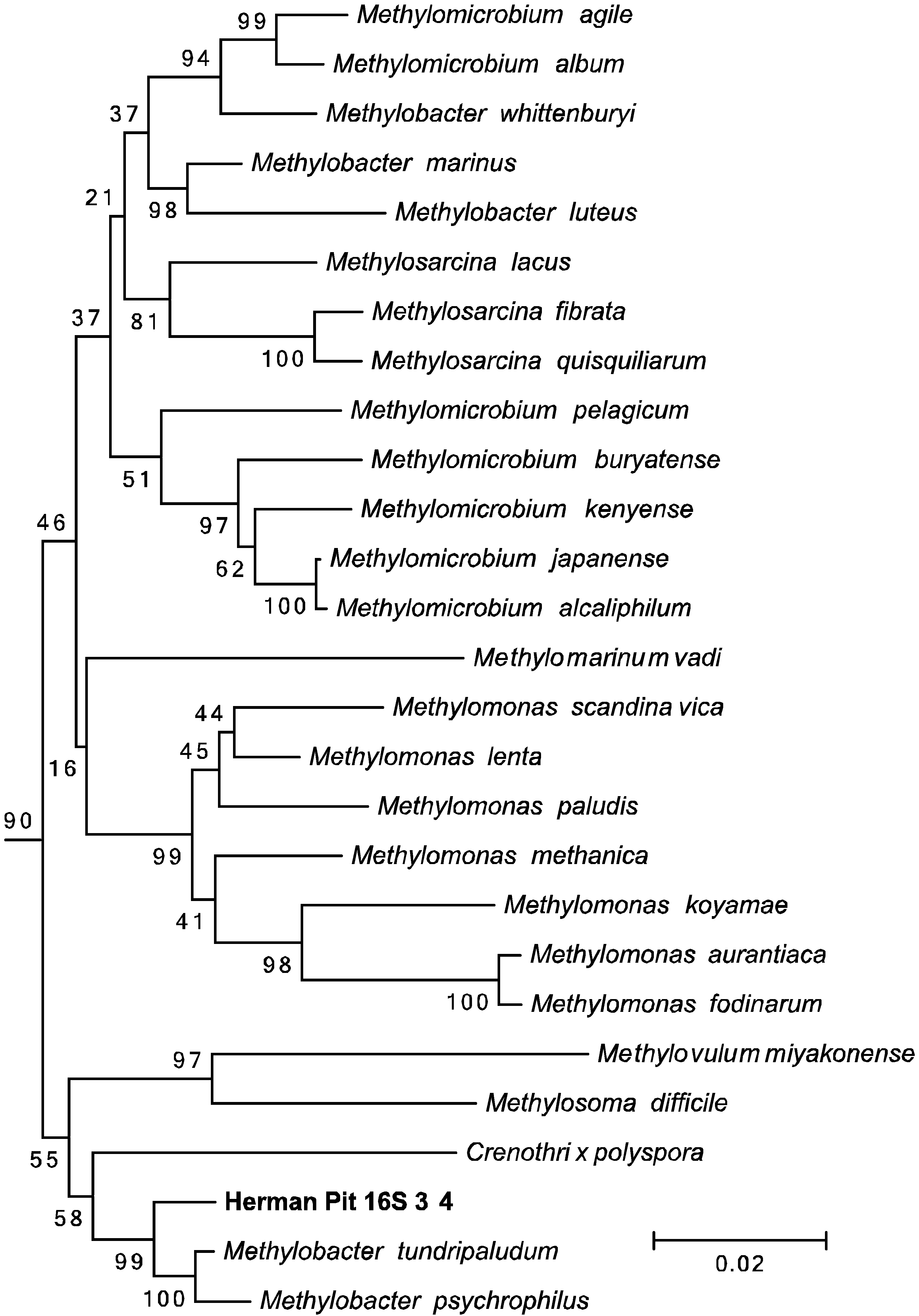 Microorganisms 03 00290 g005