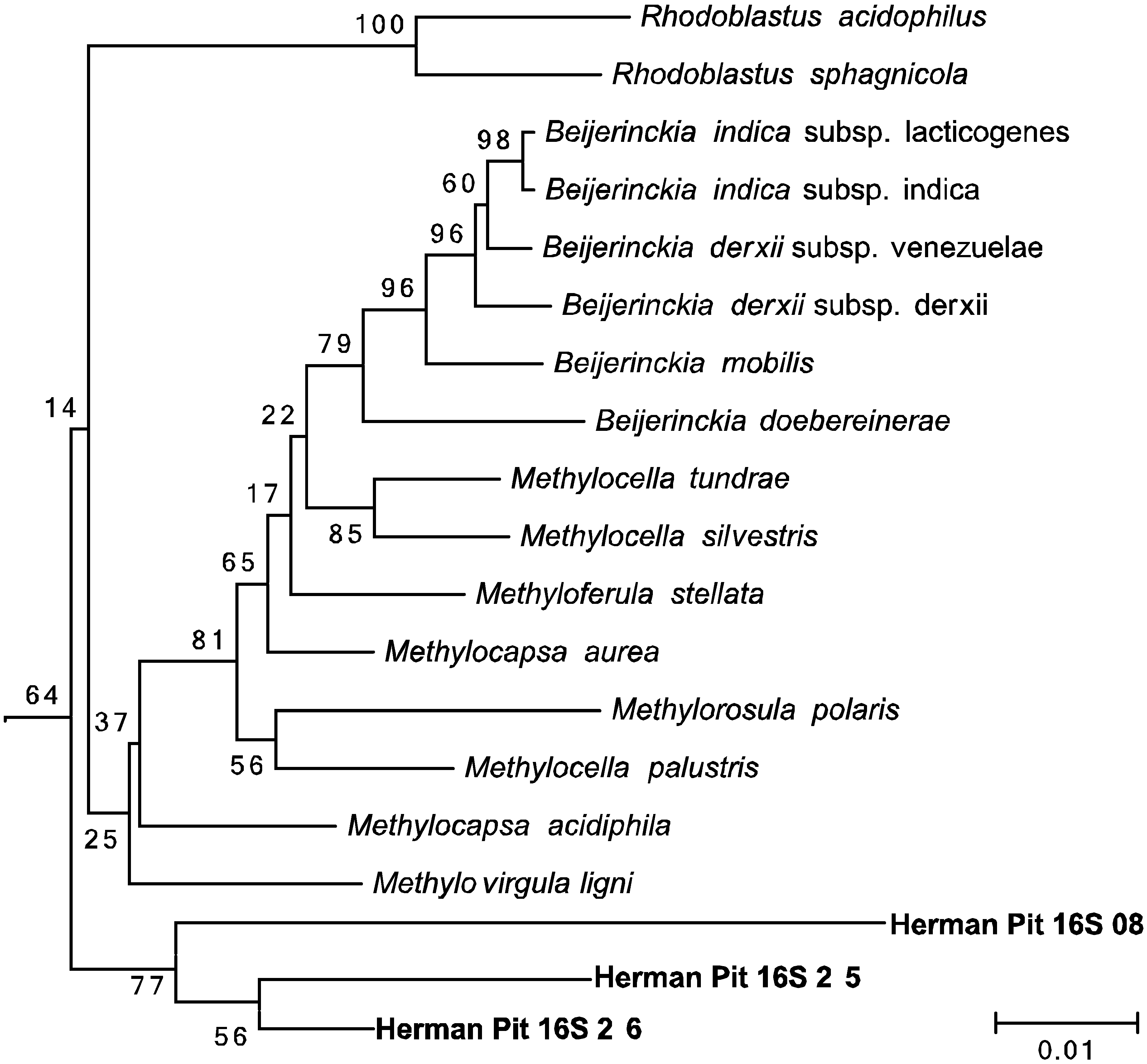 Microorganisms 03 00290 g006