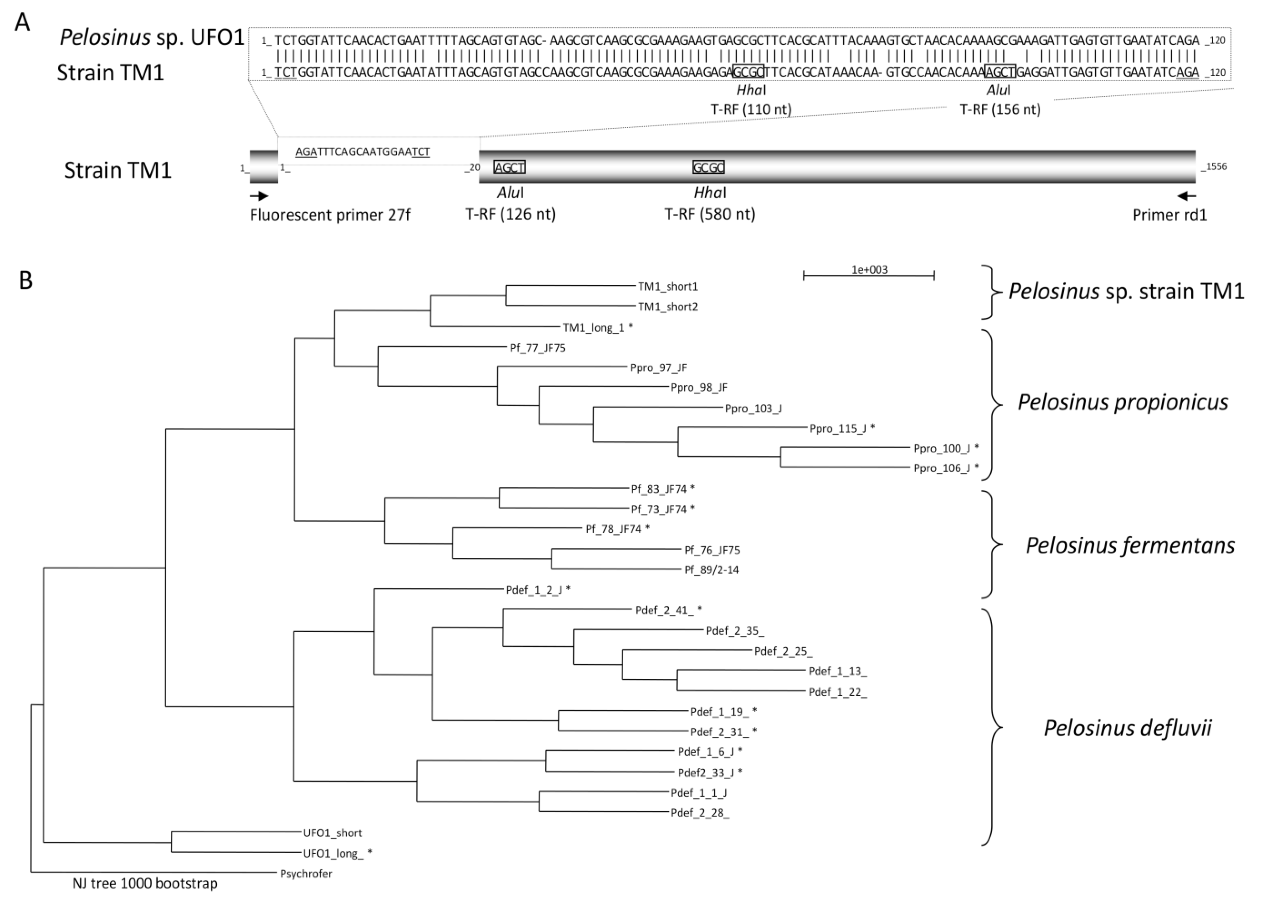 Microorganisms 03 00327 g002