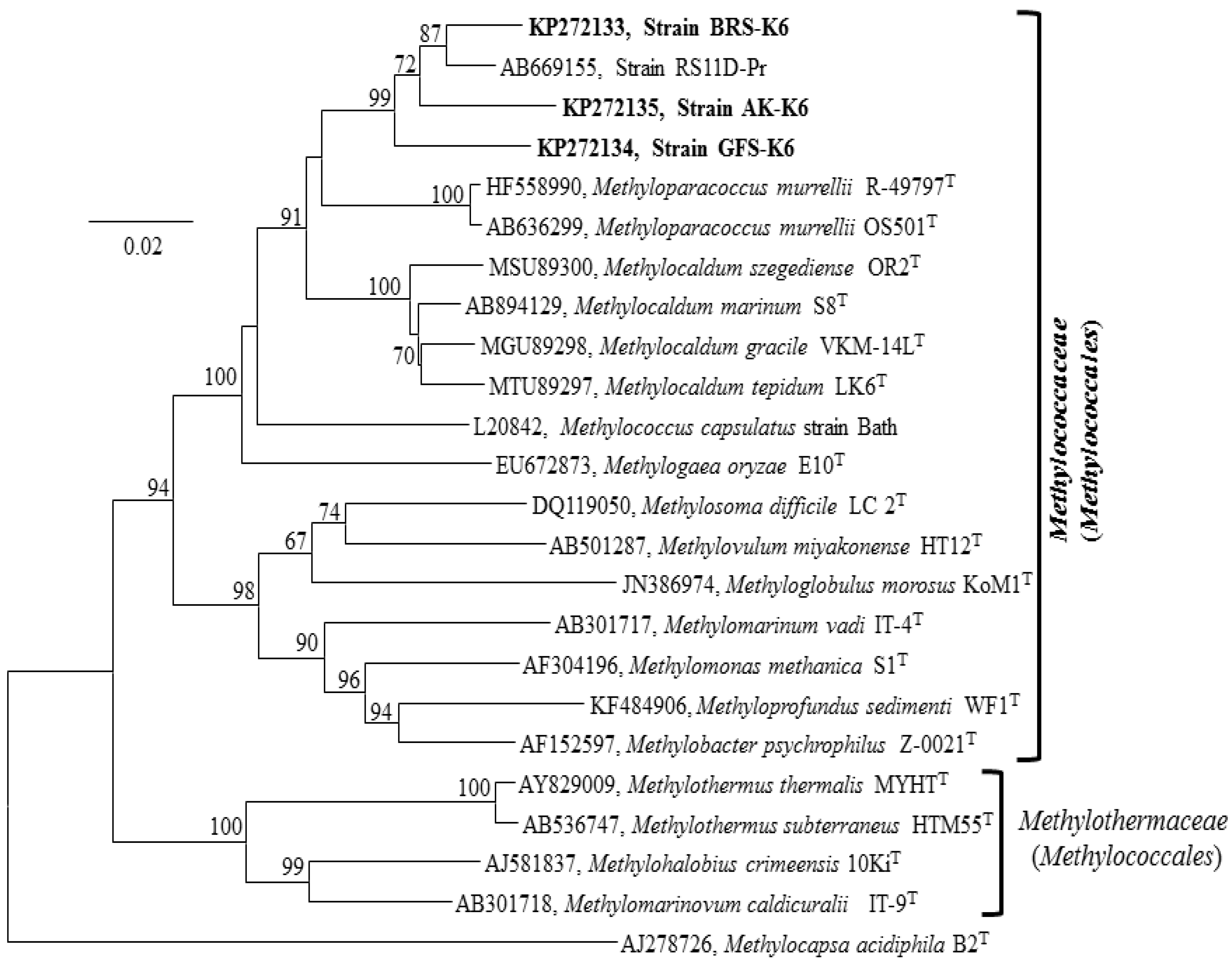 Microorganisms 03 00484 g002