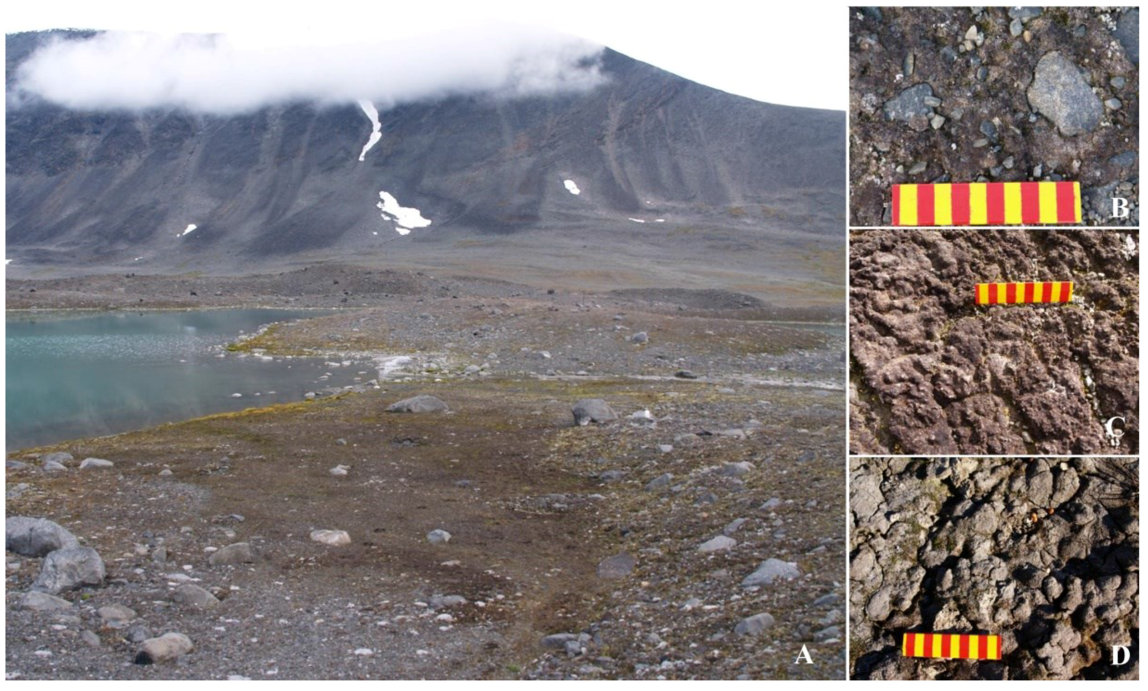 Microorganisms 03 00612 g001