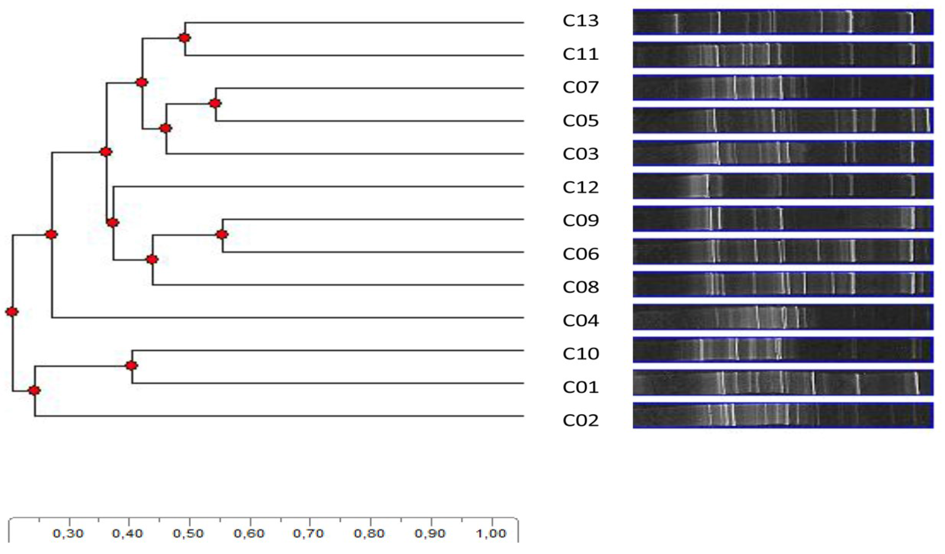 Microorganisms 03 00612 g005