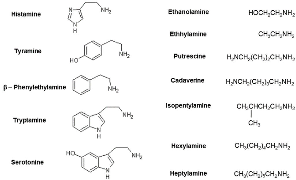 Microorganisms Free Full Text The Potential Of The Yeast Debaryomyces Hansenii H525 To Degrade Biogenic Amines In Food Html Microorganisms Free Full Text The Potential Of The Yeast Debaryomyces Hansenii H525 To Degrade Biogenic Amines In Food Html