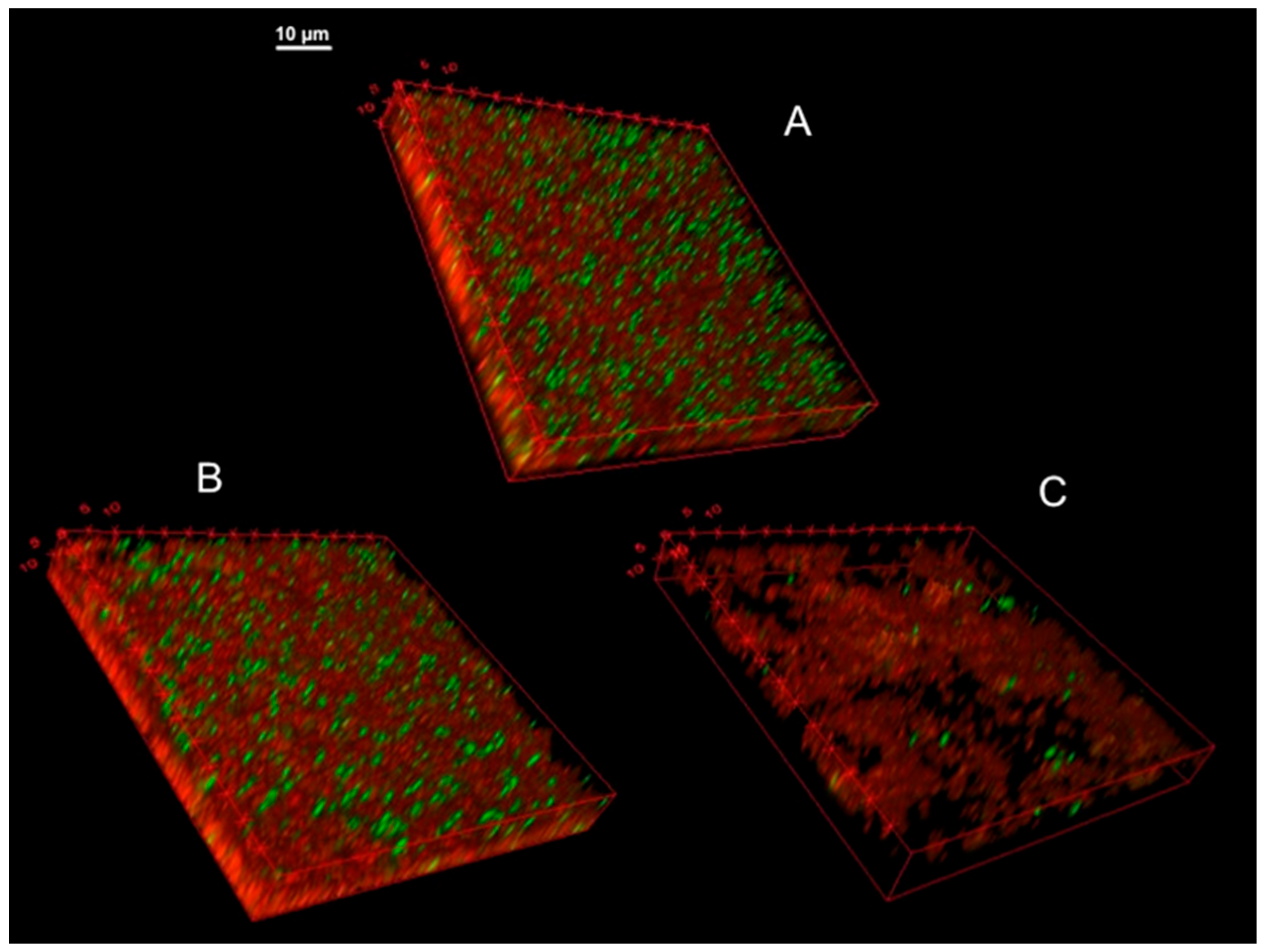 Microorganisms 04 00026 g007 550