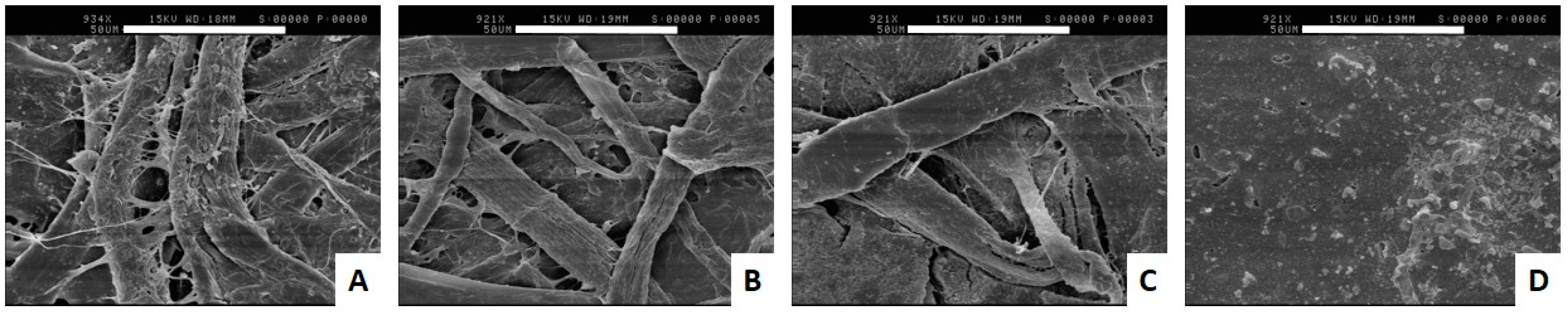 Microorganisms 04 00042 g003