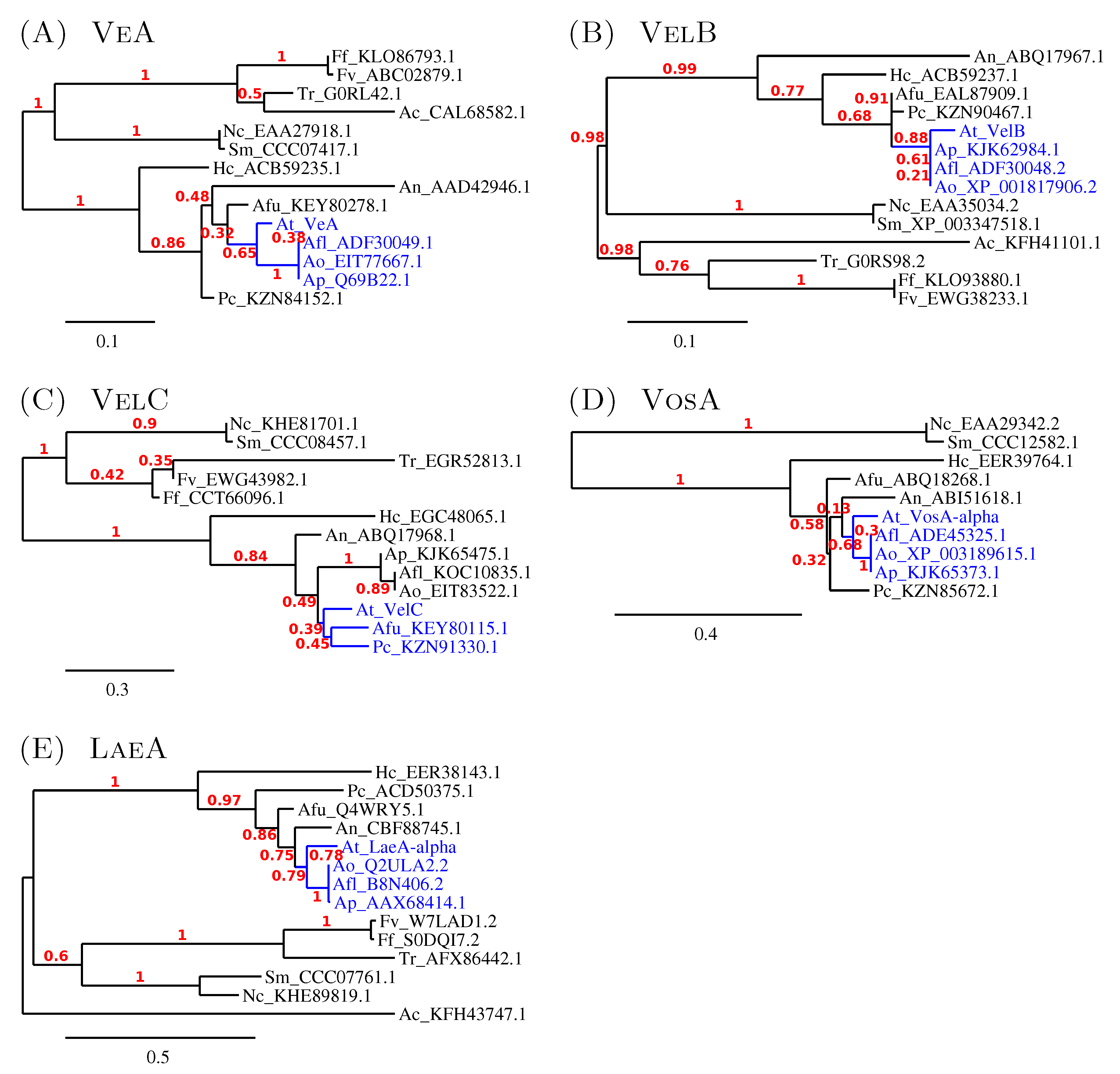Microorganisms 05 00012 g003