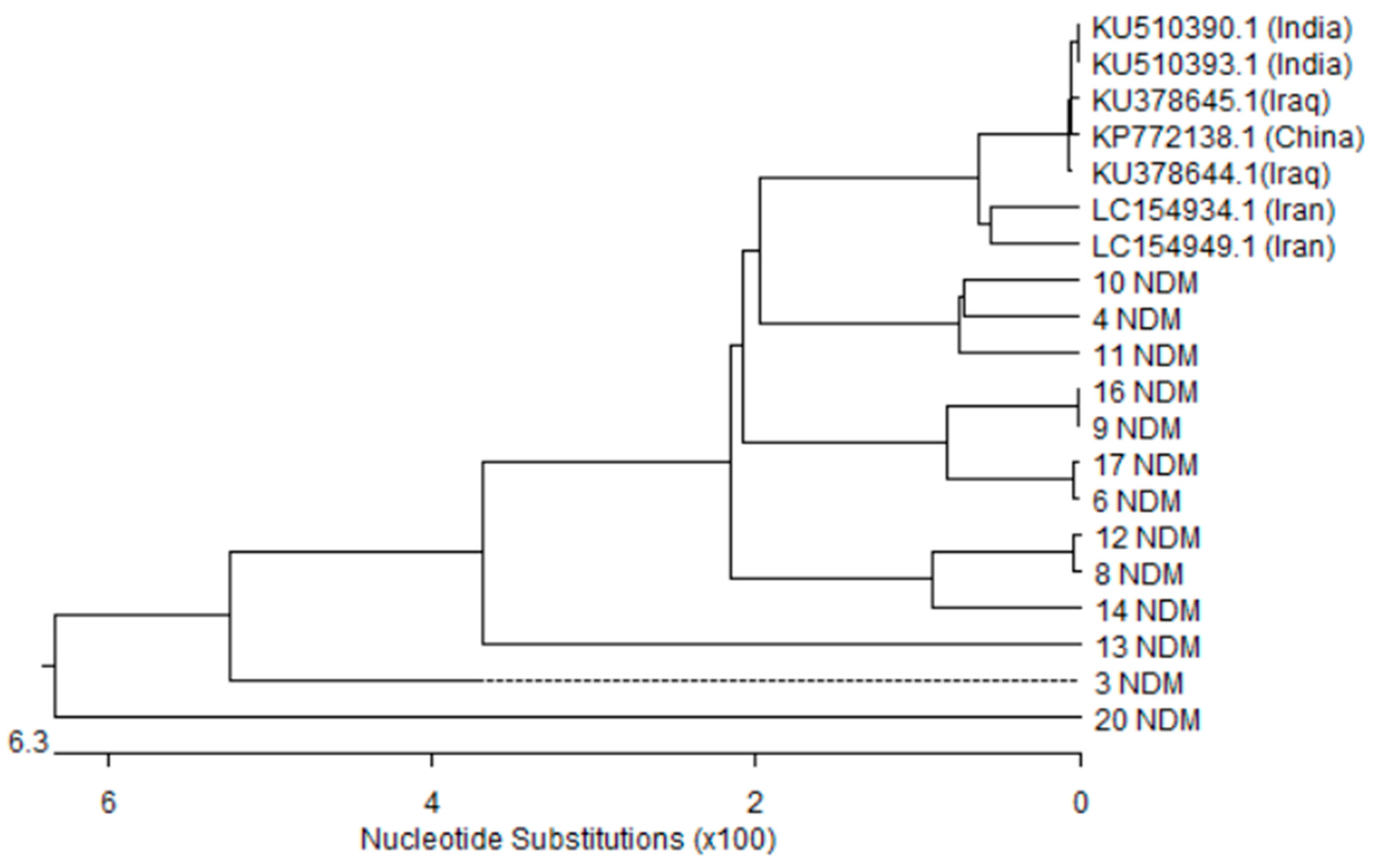 Microorganisms 05 00018 g003
