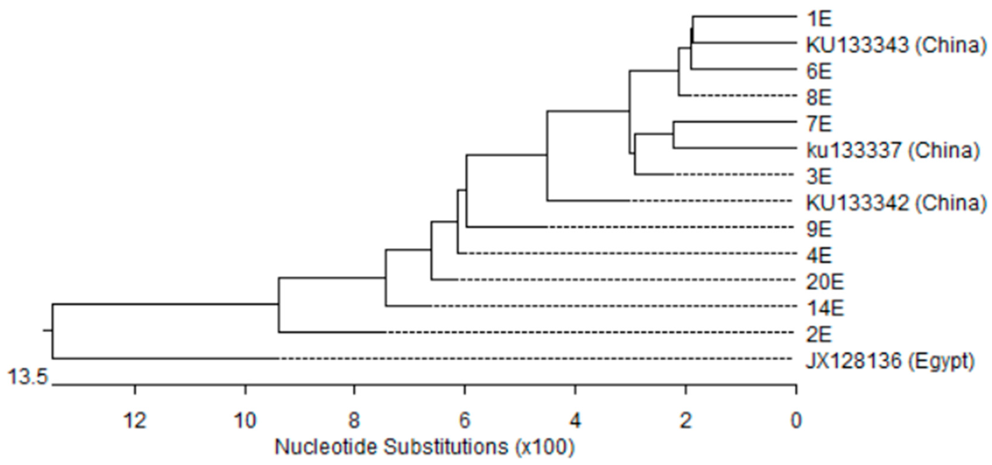Microorganisms 05 00018 g005