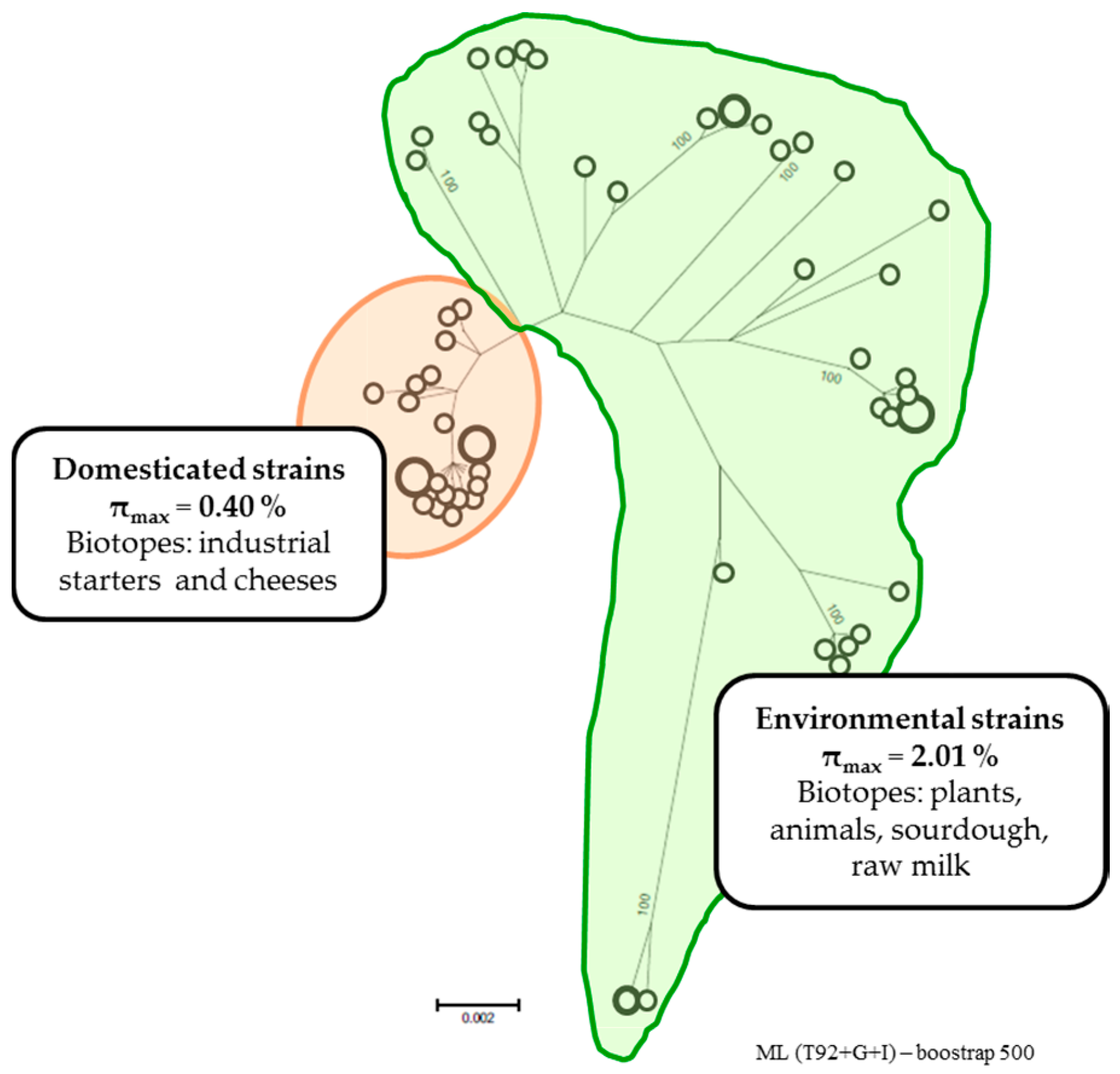 Microorganisms 05 00027 g001 550