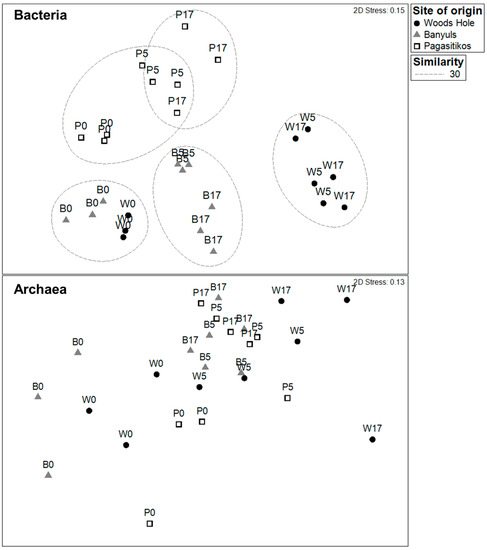 microorganisms free full text changes in microbial archaea vs bacteria venn diagram