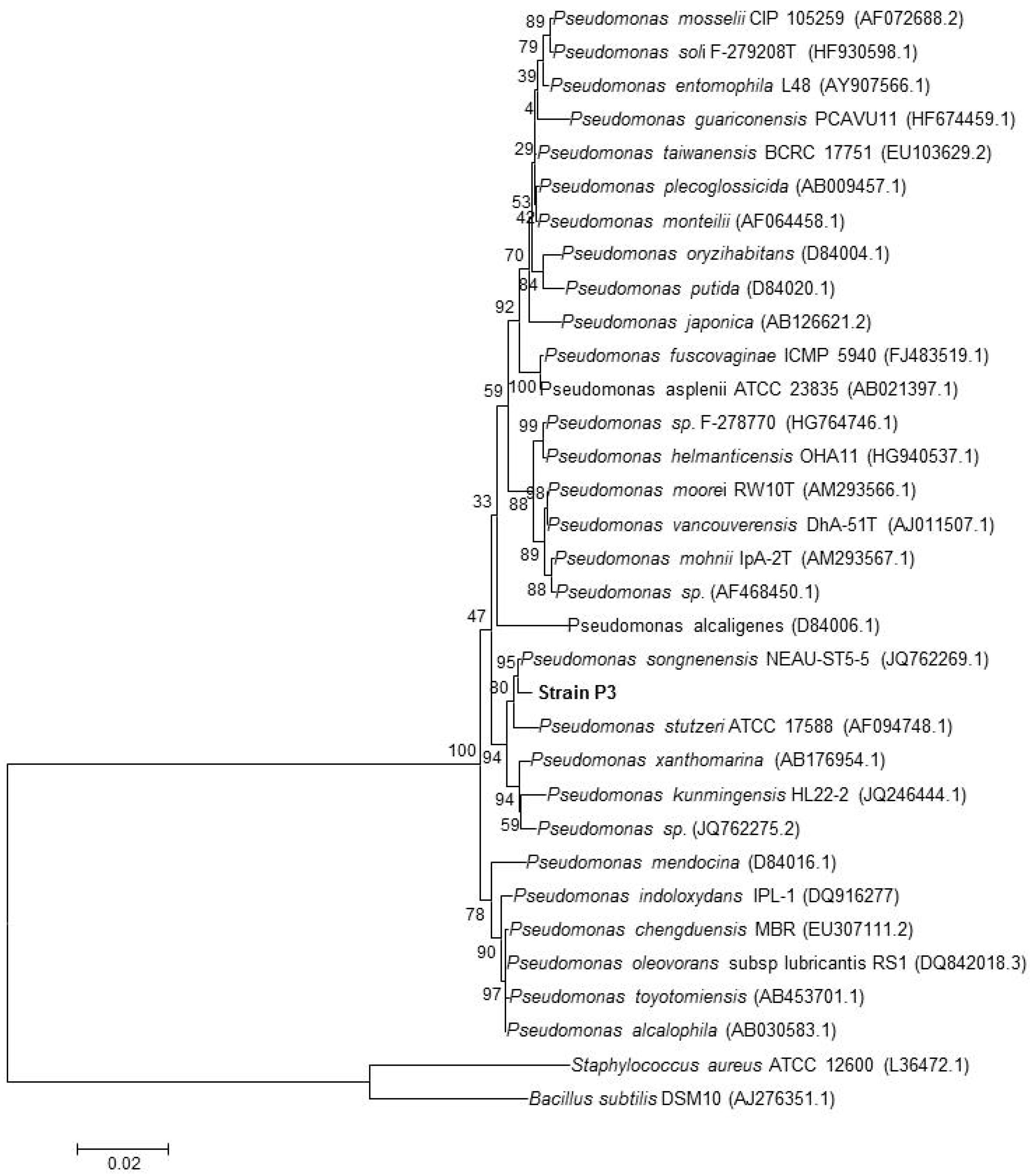 Microorganisms 05 00047 g002 550