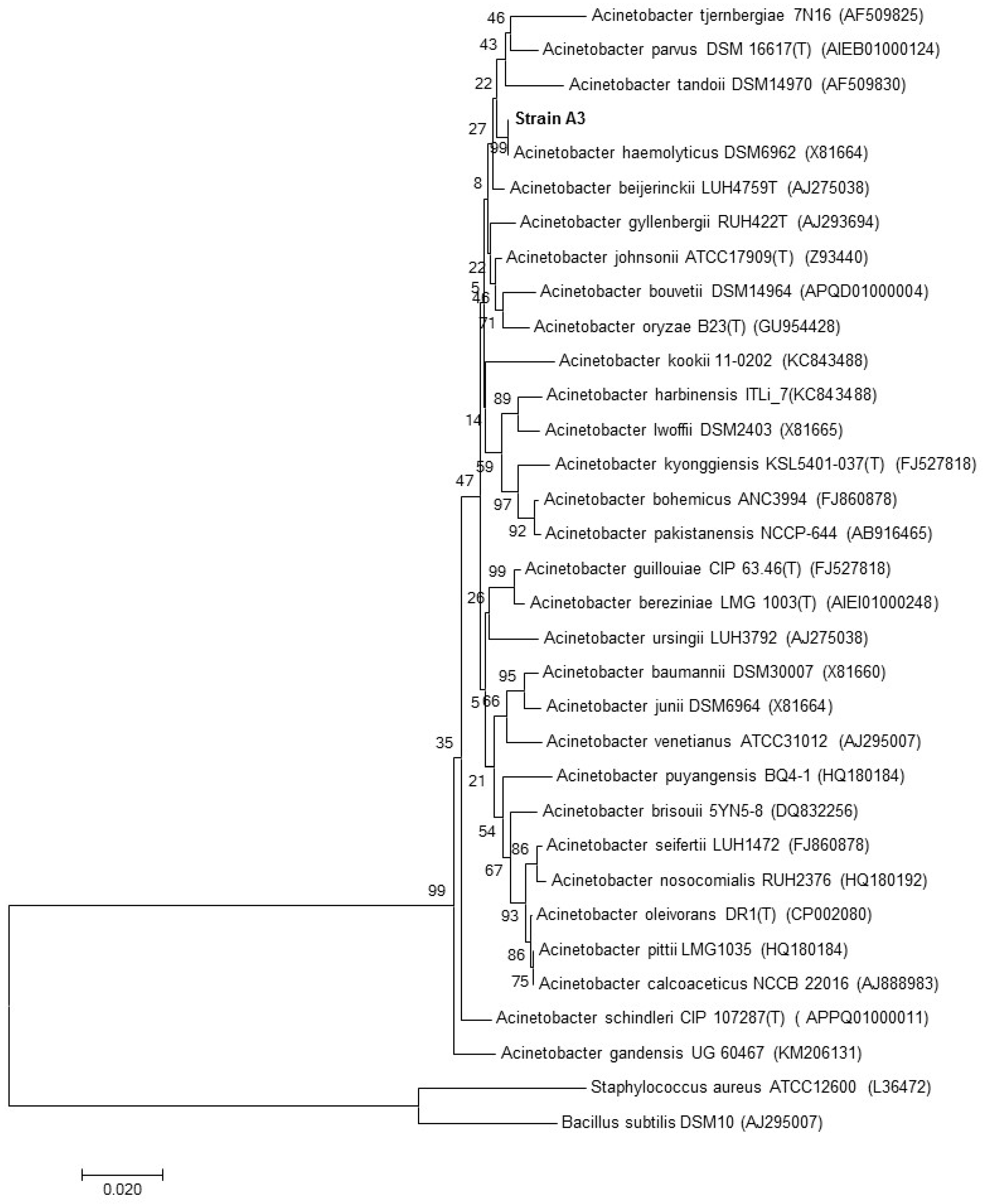 Microorganisms 05 00047 g003 550