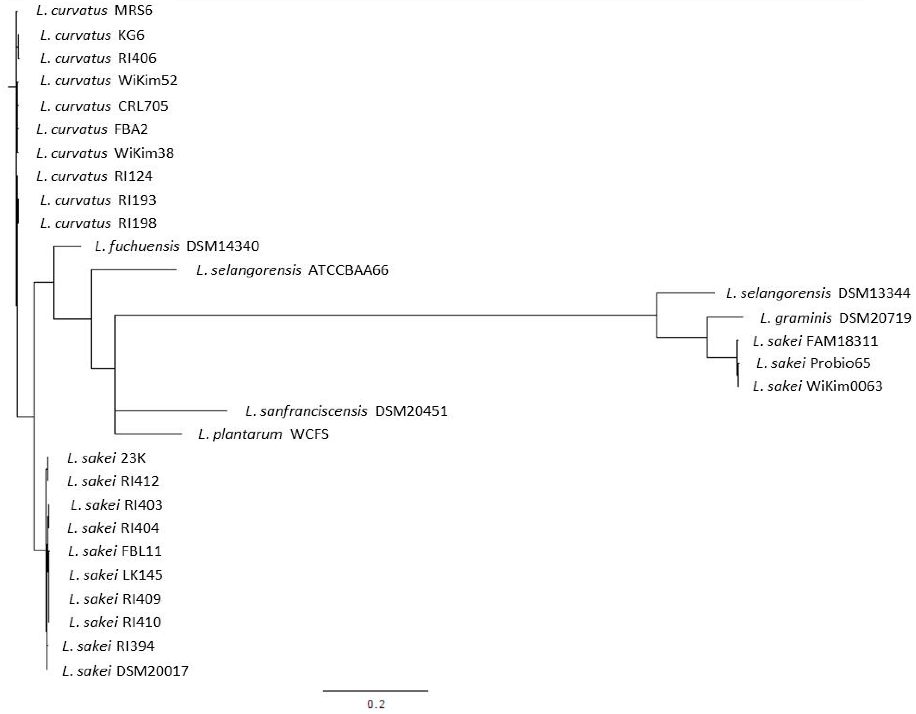 Microorganisms 05 00056 g001
