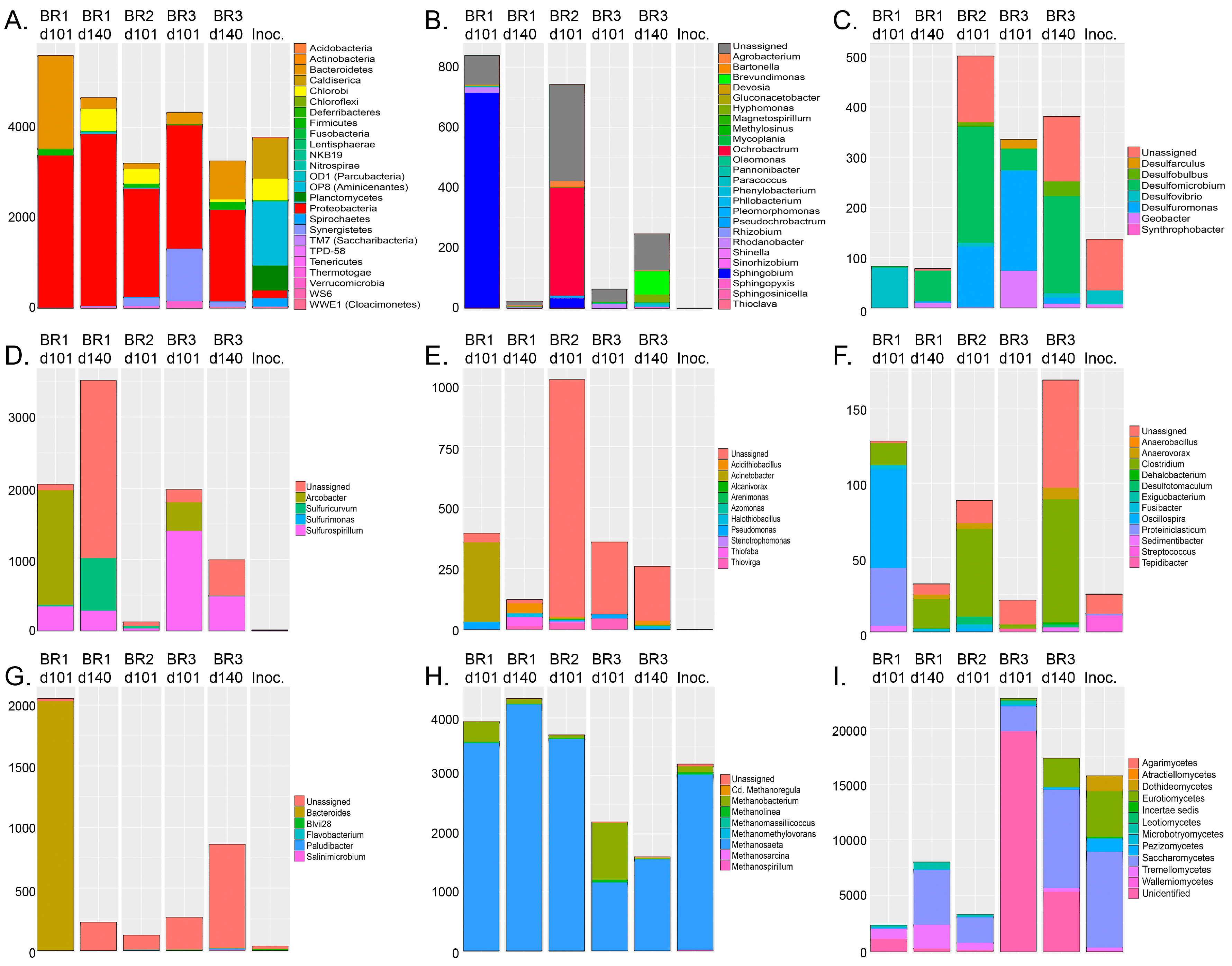 Microorganisms 05 00061 g004
