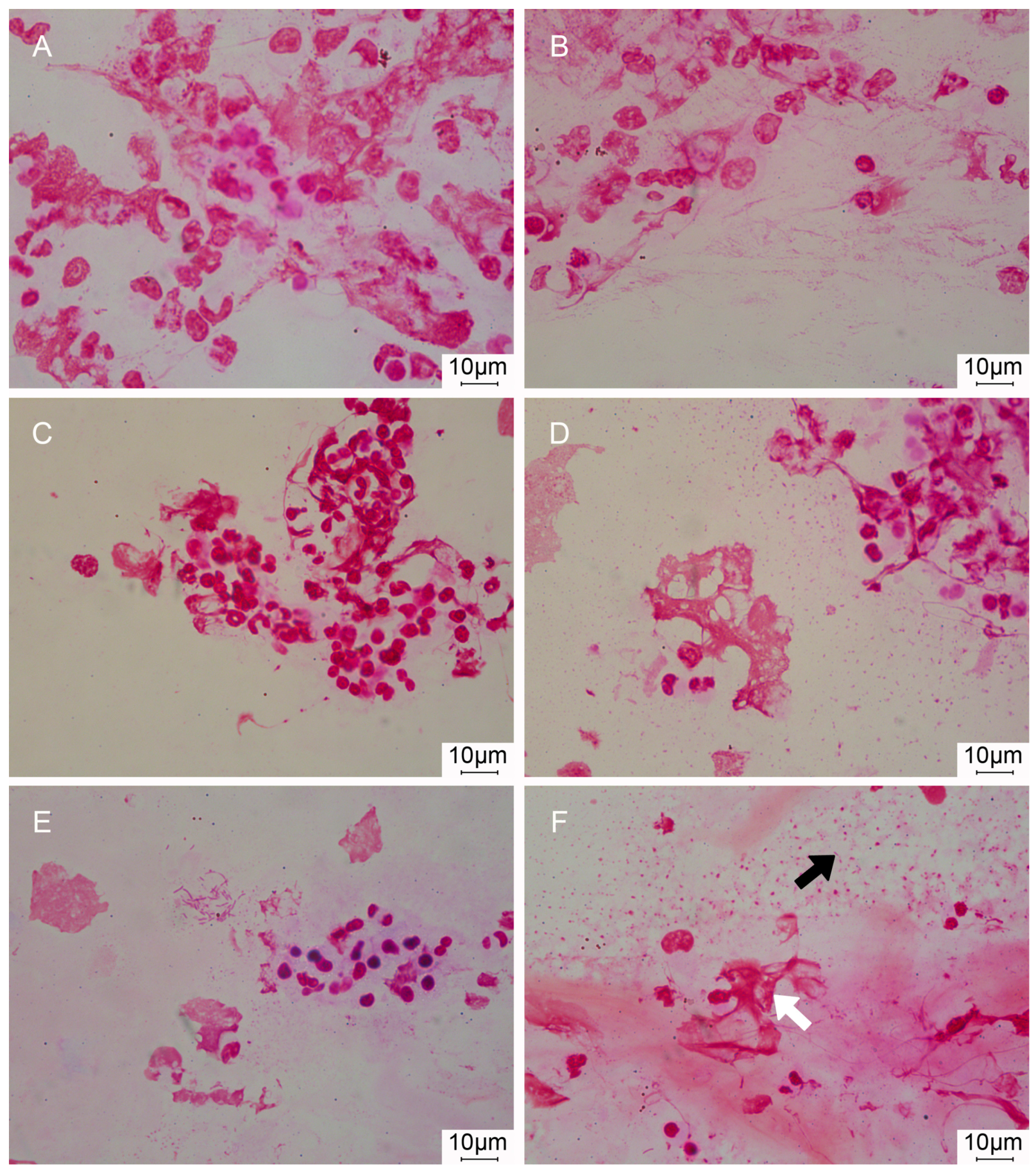 Microorganisms 05 00062 g005 Microorganisms 05 00062 g005