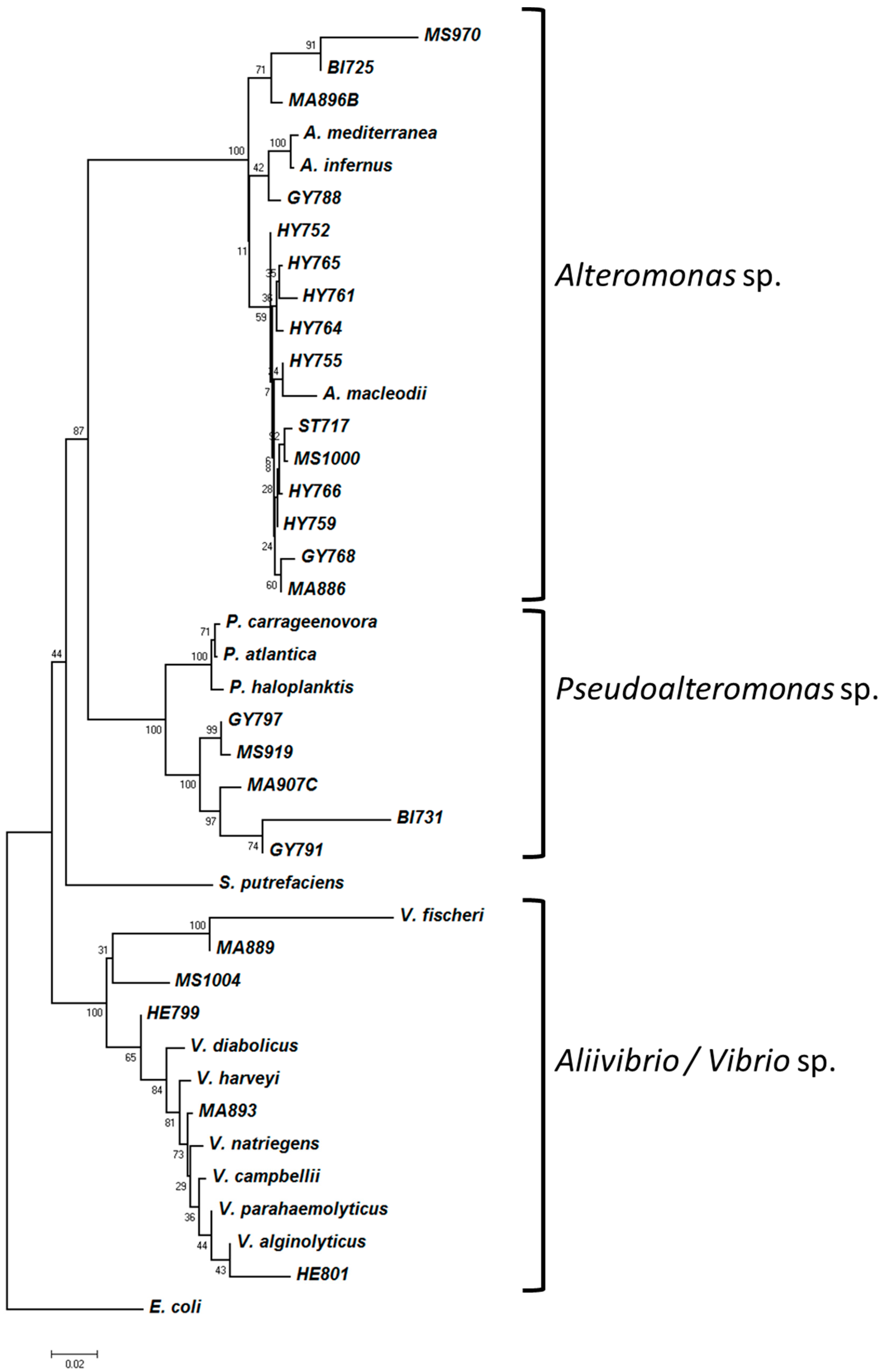 Microorganisms 05 00063 g003 Microorganisms 05 00063 g003