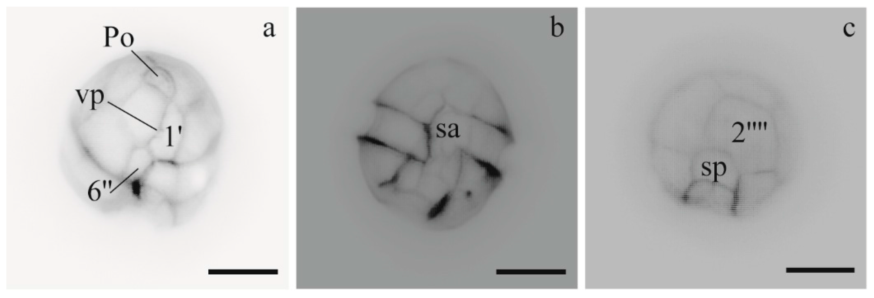 Microorganisms 05 00072 g002 Microorganisms 05 00072 g002