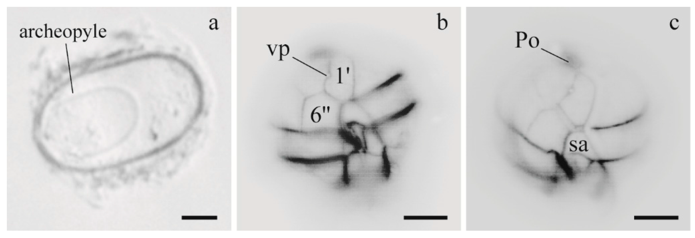 Microorganisms 05 00072 g003 Microorganisms 05 00072 g003