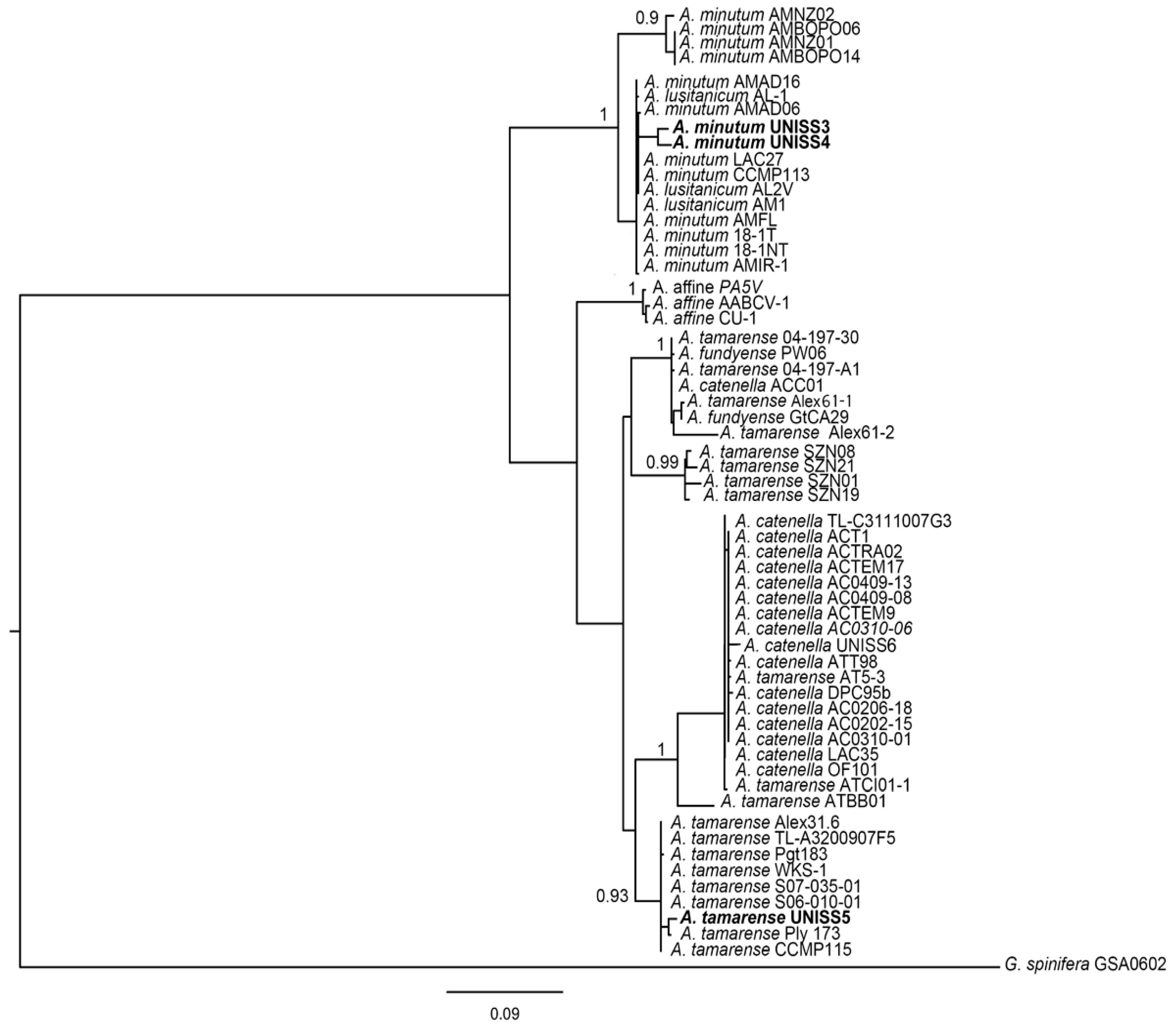 Microorganisms 05 00072 g006 Microorganisms 05 00072 g006