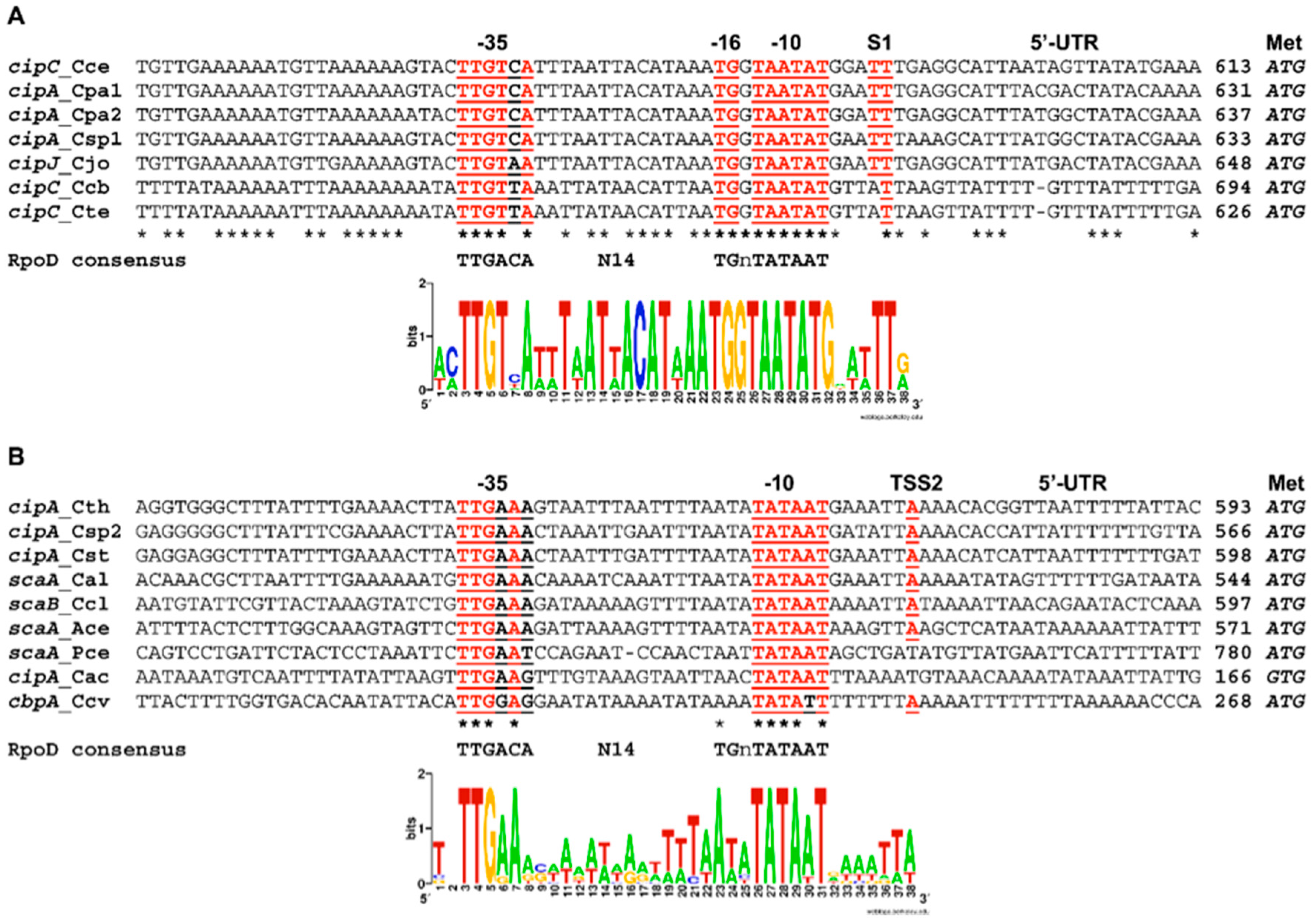 Microorganisms 05 00074 g003 550
