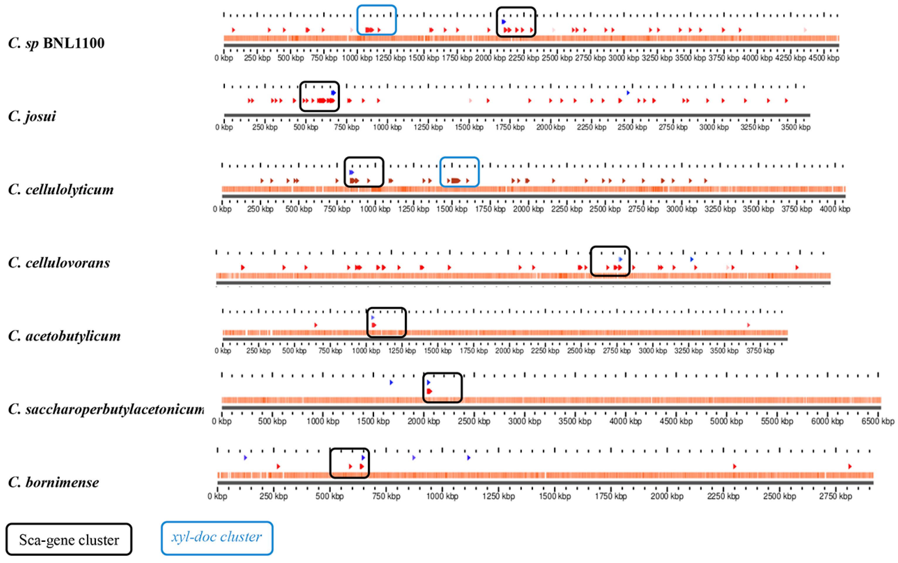 Microorganisms 05 00074 g006 550