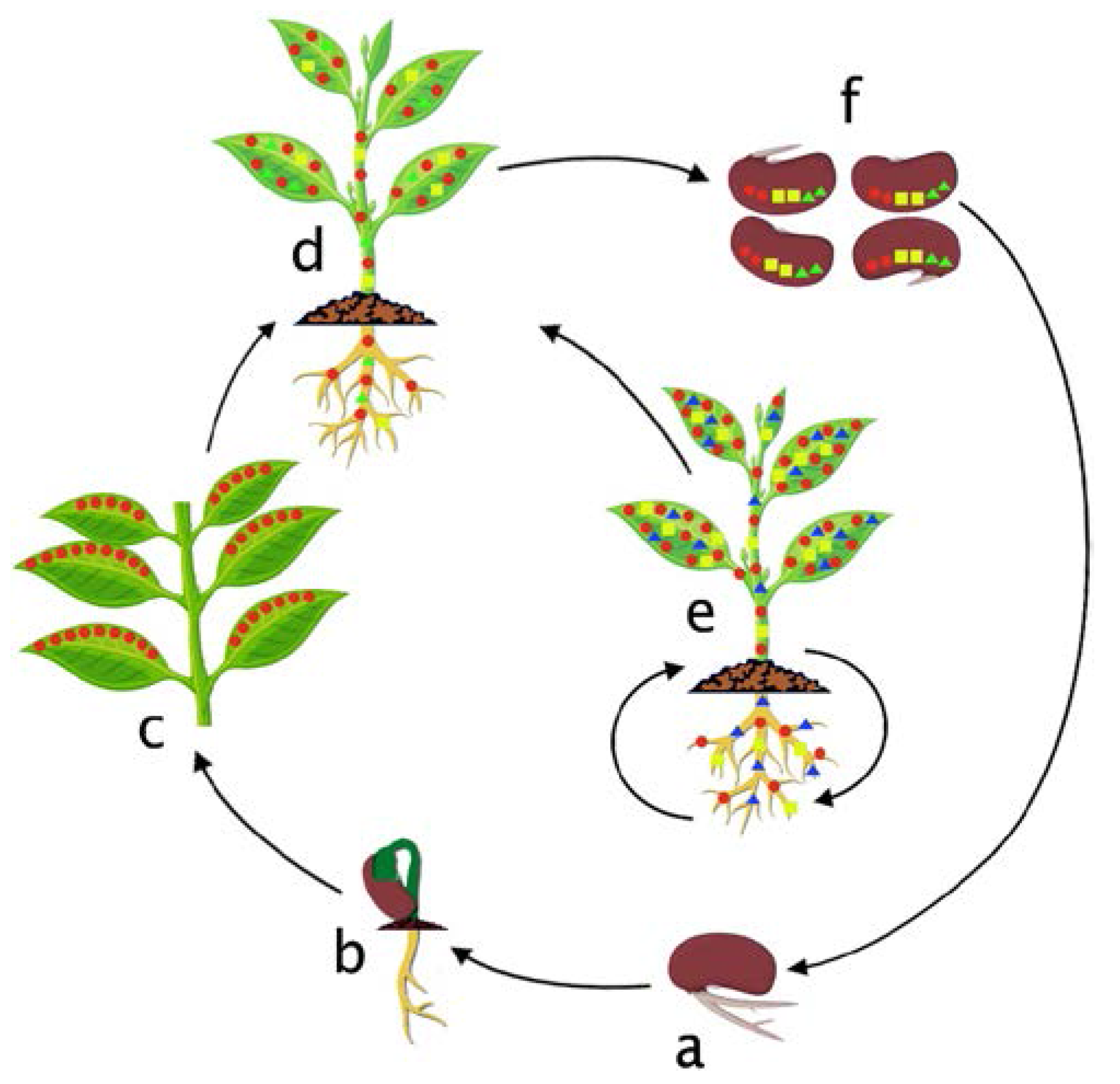 Microorganisms 05 00077 g001