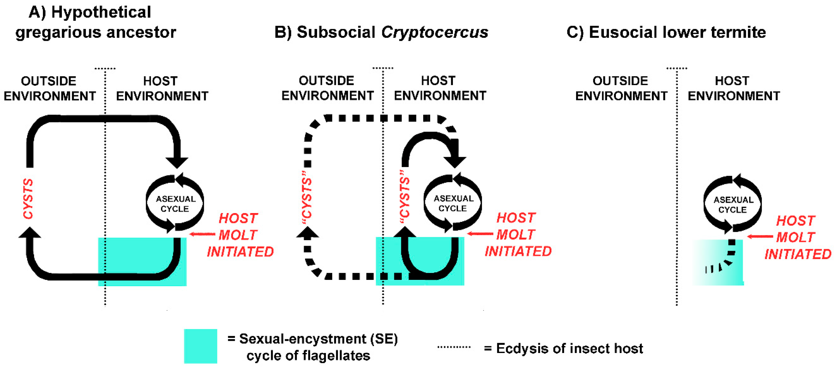 Microorganisms 05 00082 g002 550