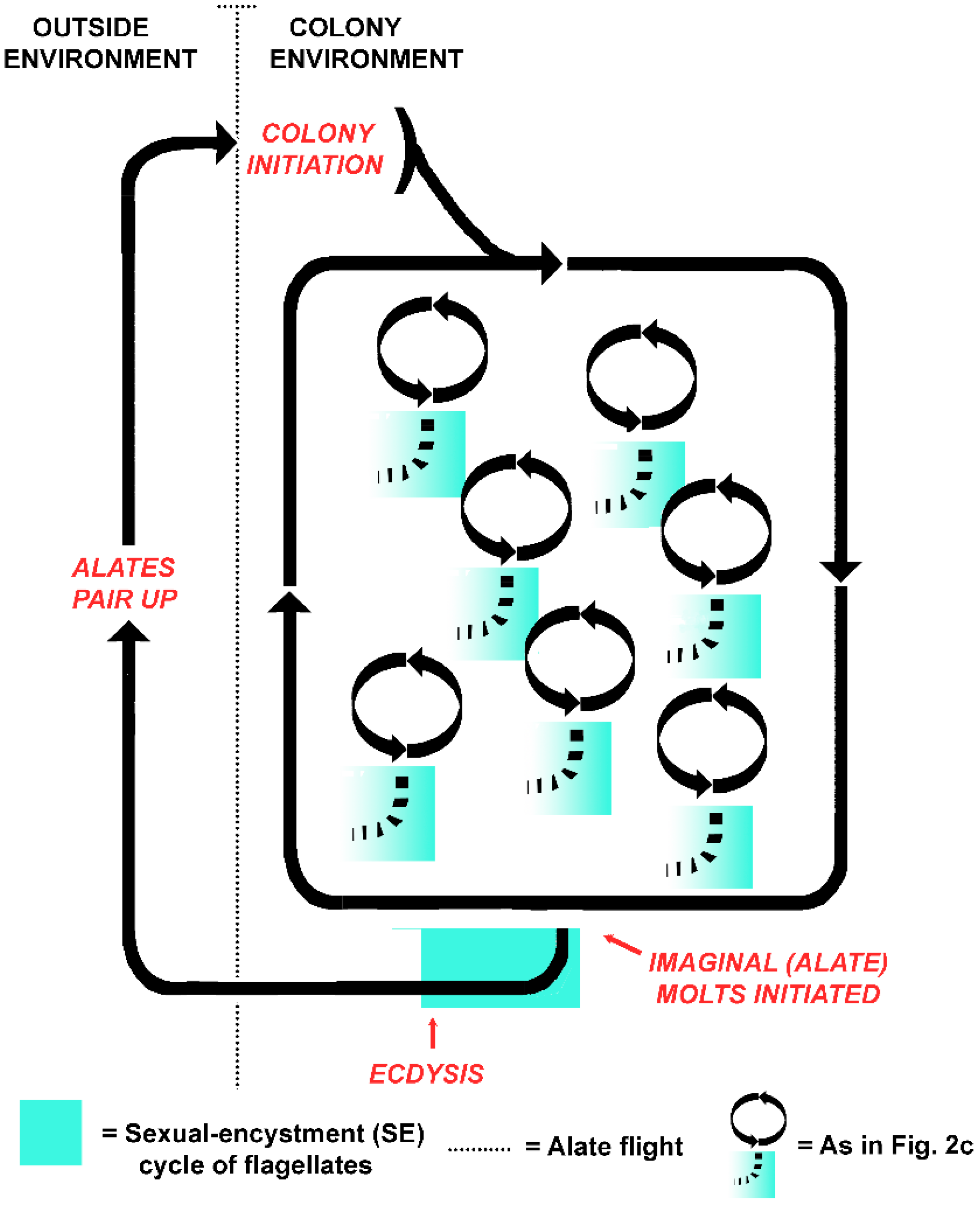 Microorganisms 05 00082 g004 550