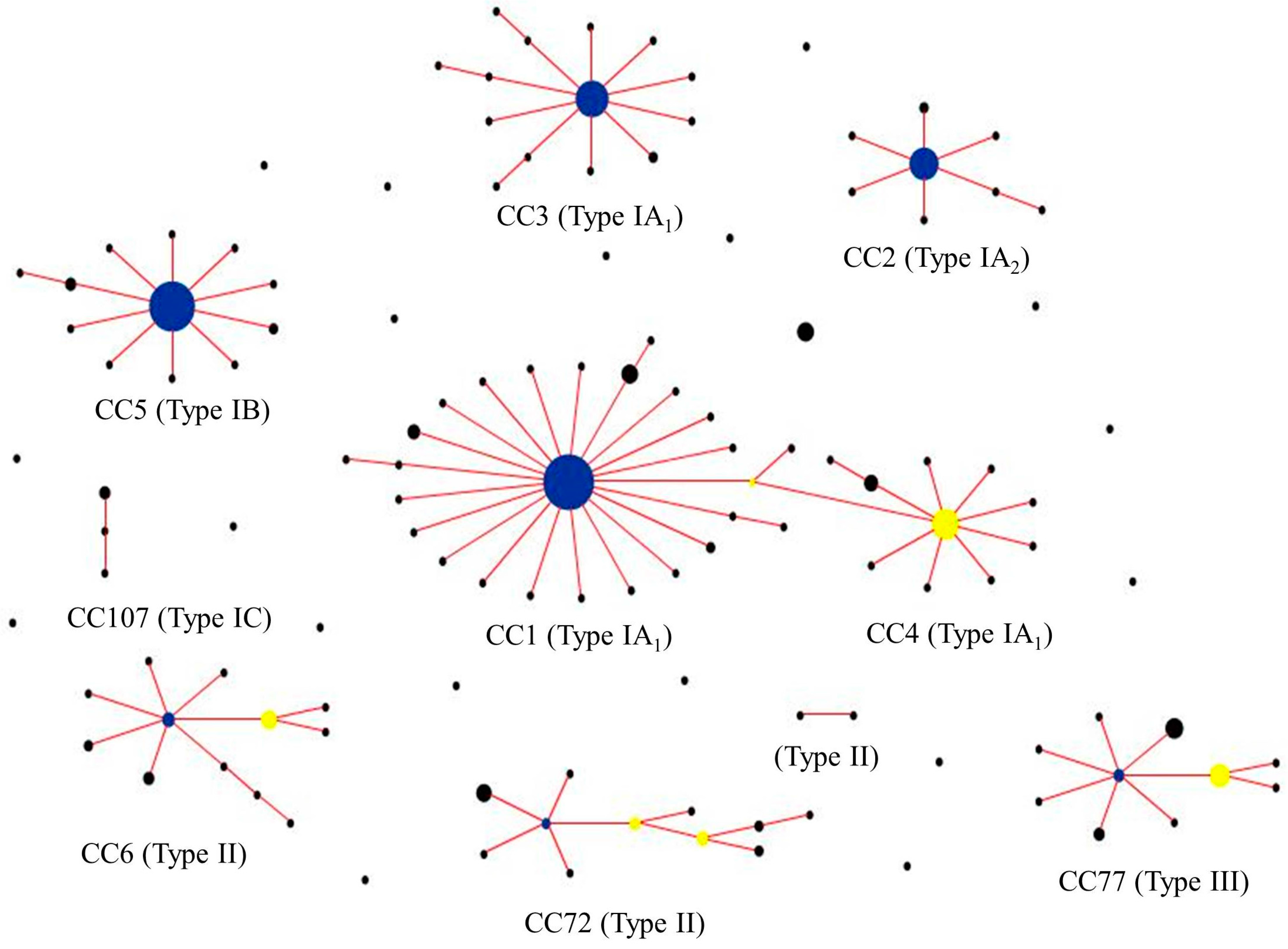 Microorganisms 06 00001 g004