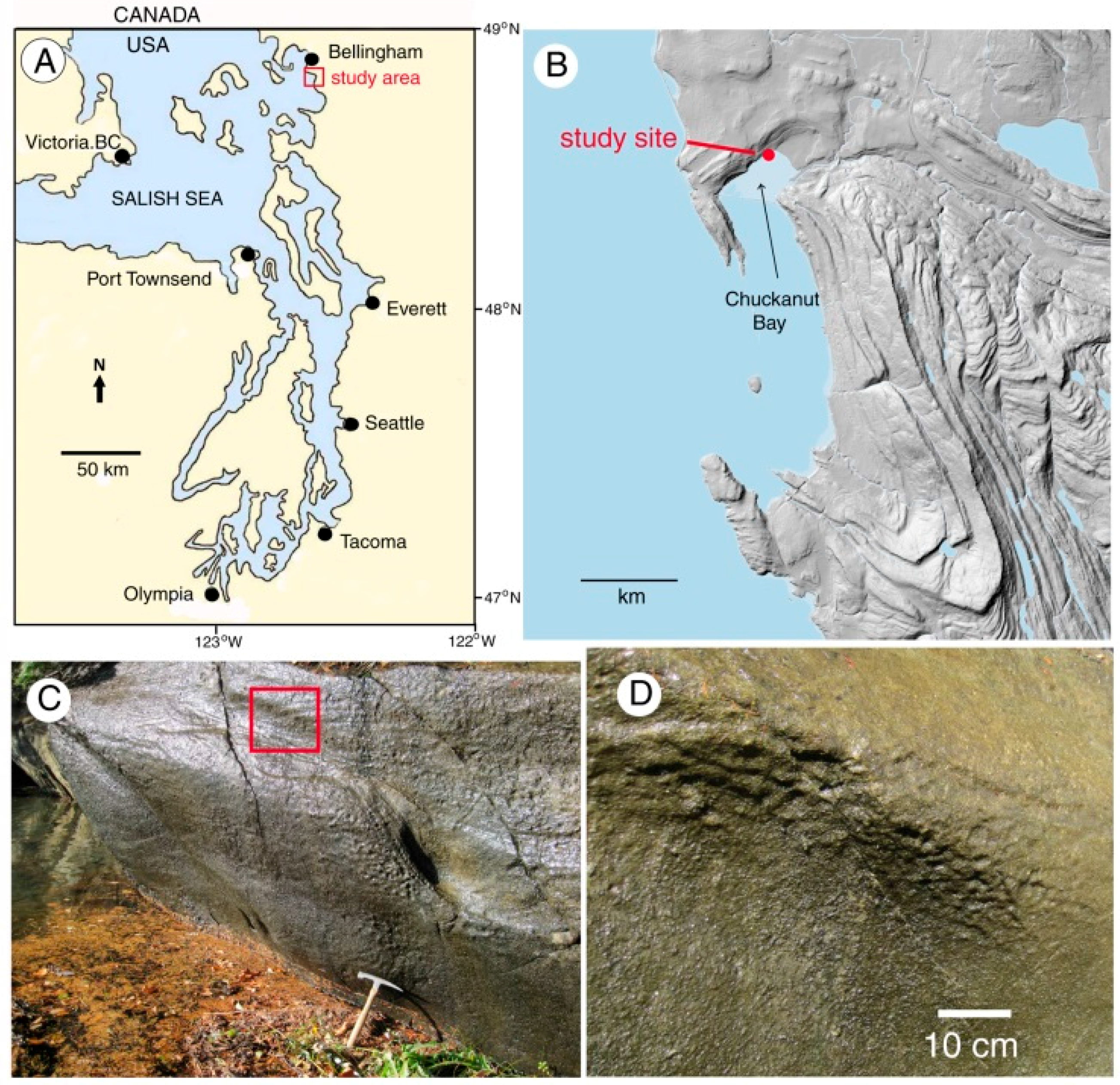 Microorganisms 06 00008 g001