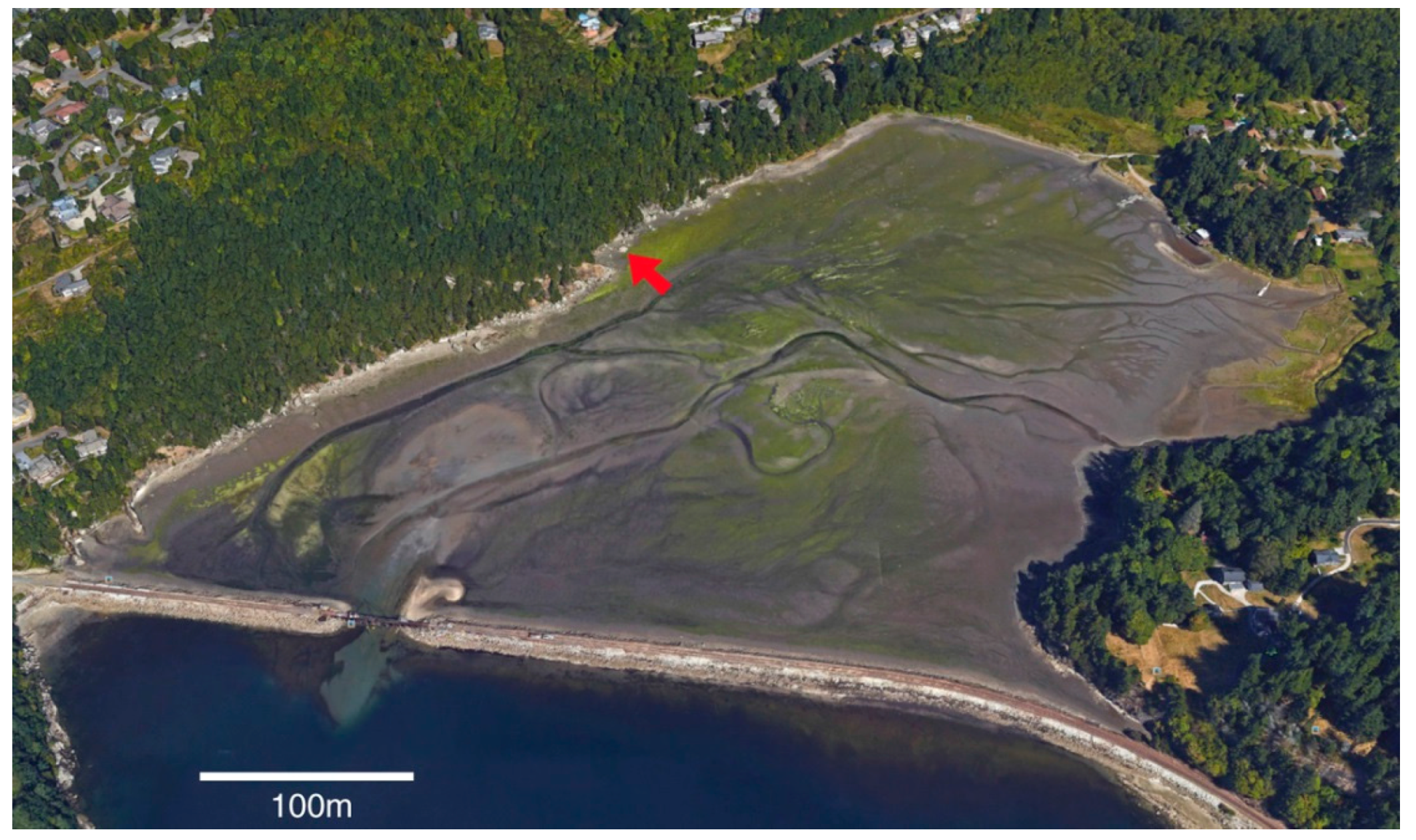 Microorganisms 06 00008 g002